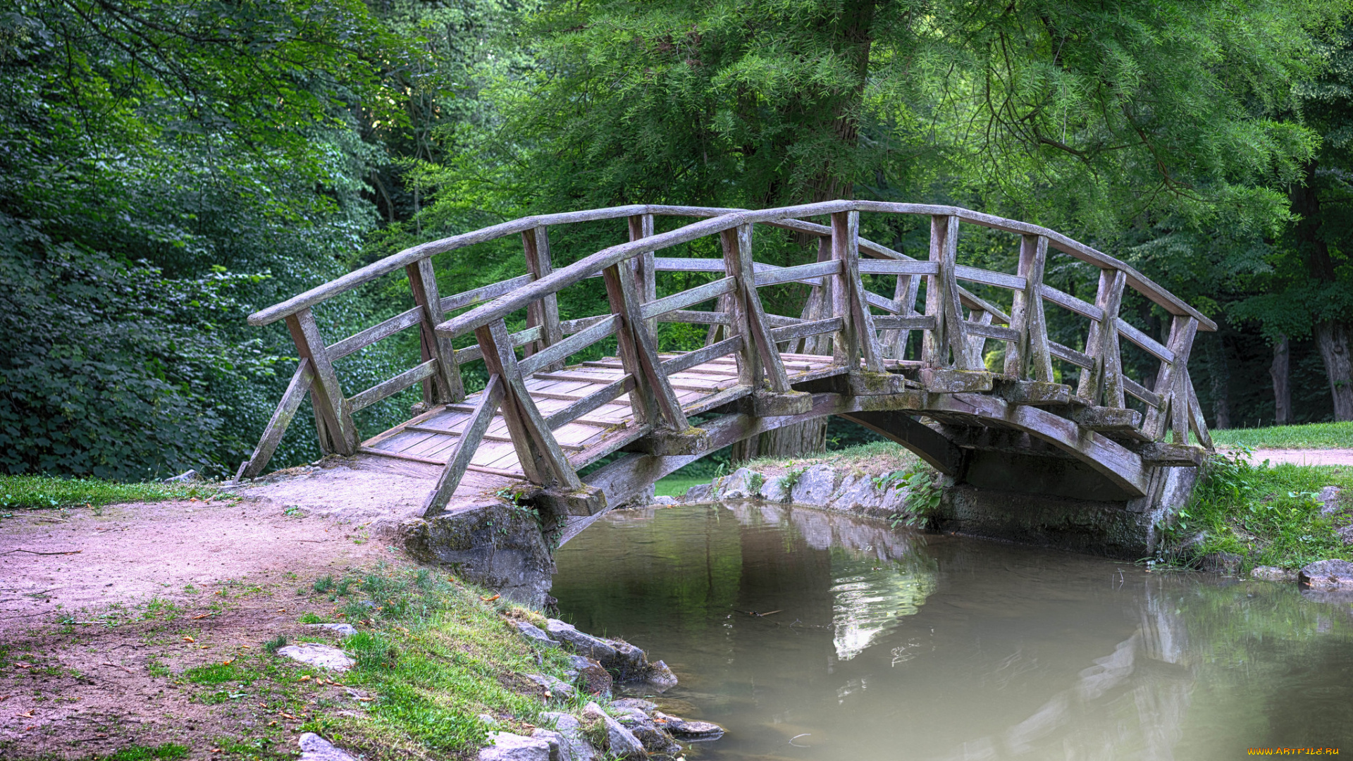 природа, реки, озера, речка, лес, мостик, дорога