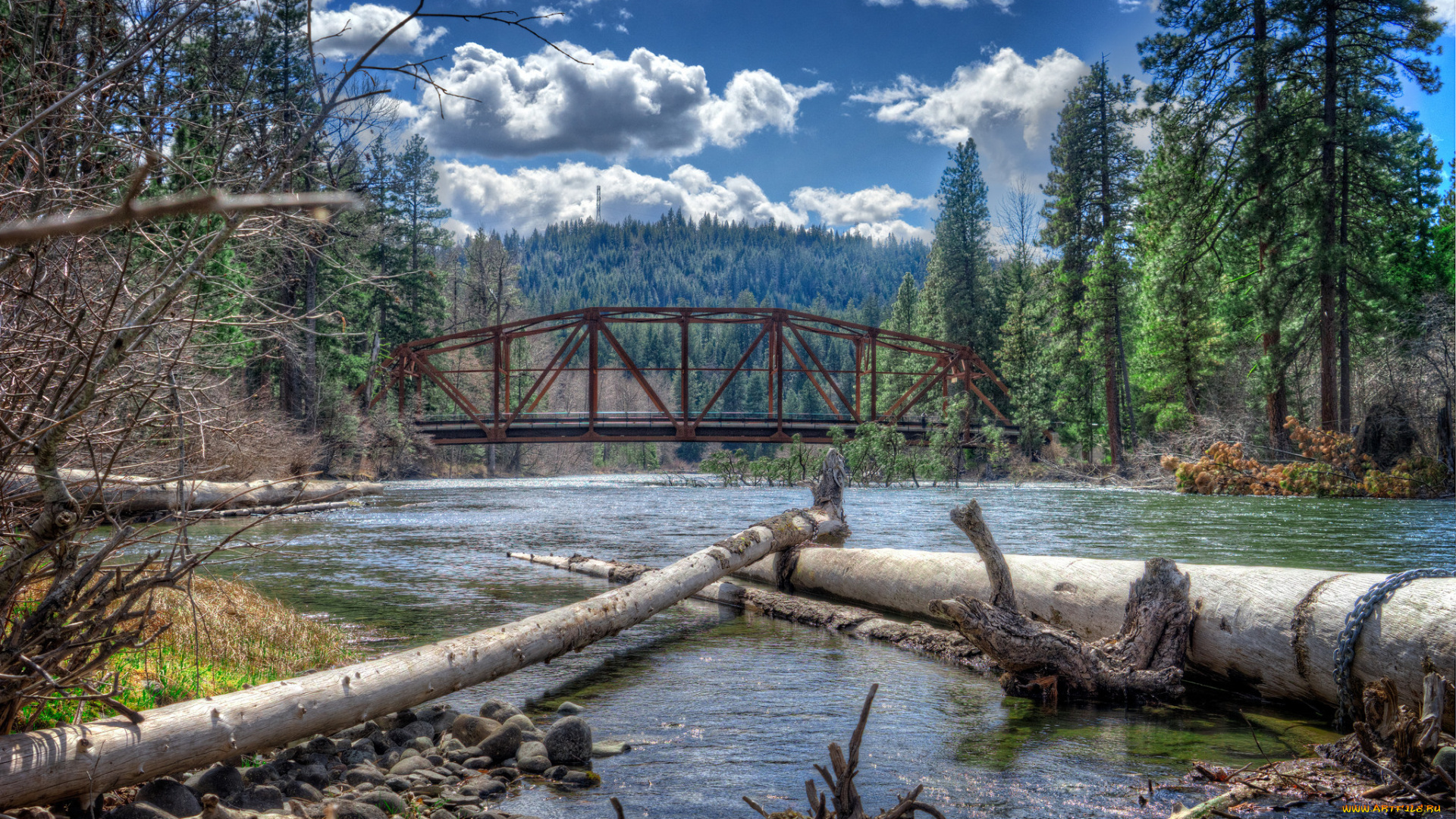 природа, реки, озера, река, лес, мост, бревна