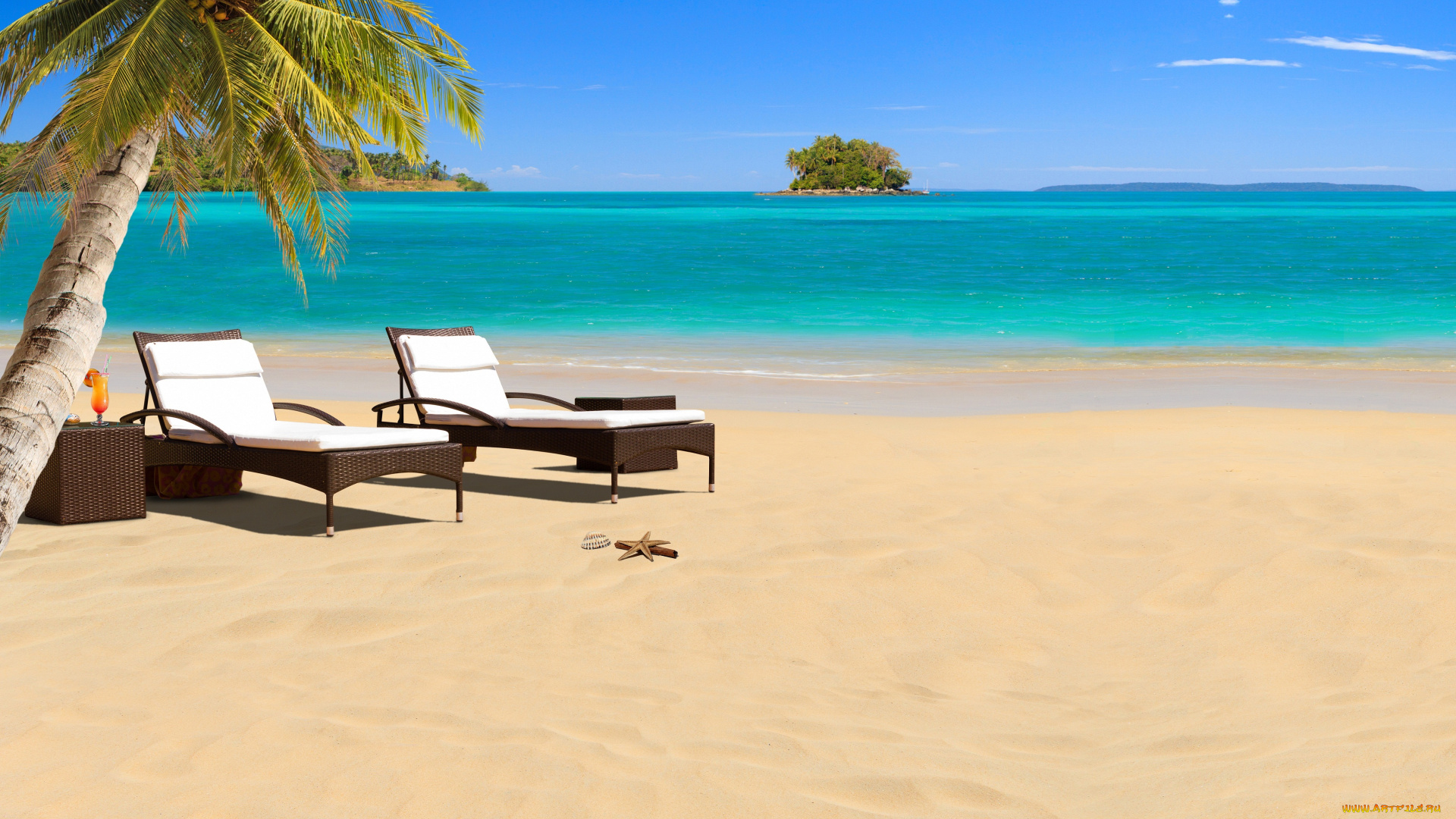 природа, тропики, тропик, море, пляж, лежаки, зонтики, морские, звезды, ракушка, коктейль