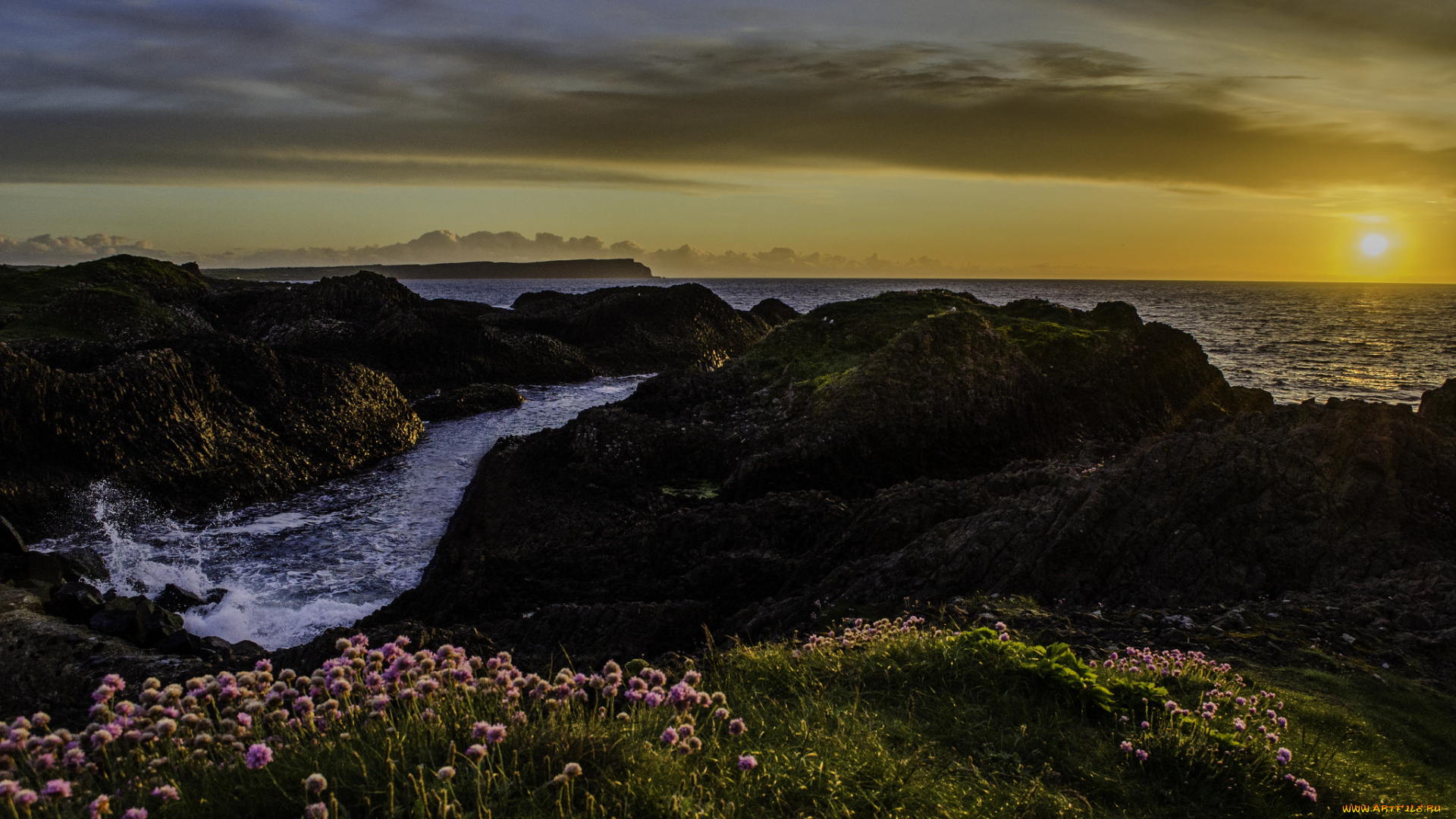 природа, восходы, закаты, заря, горизонт, цветы, камни, берег, океан