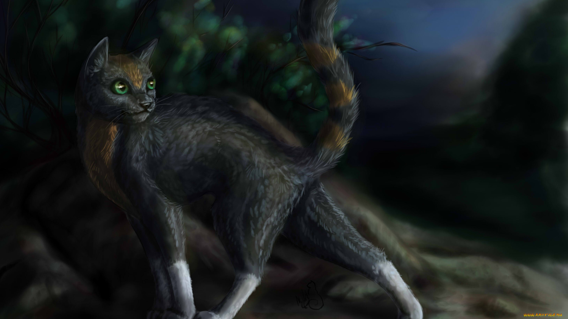 рисованные, животные, , коты, кот, взгляд