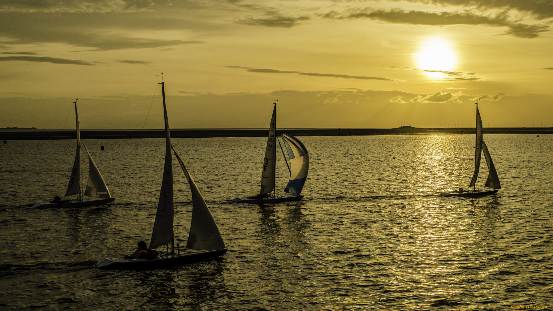 спорт, парусный, спорт, озеро, паруса, солнце