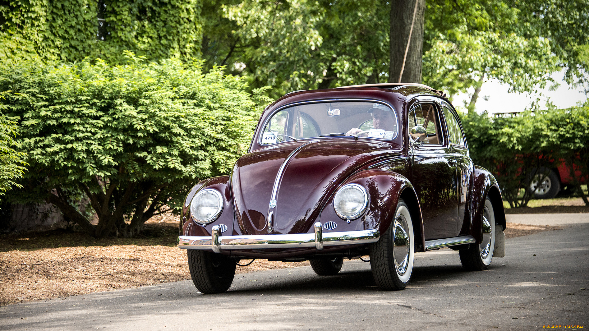 vw, beetle, автомобили, volkswagen, автопробег, выставка, автошоу