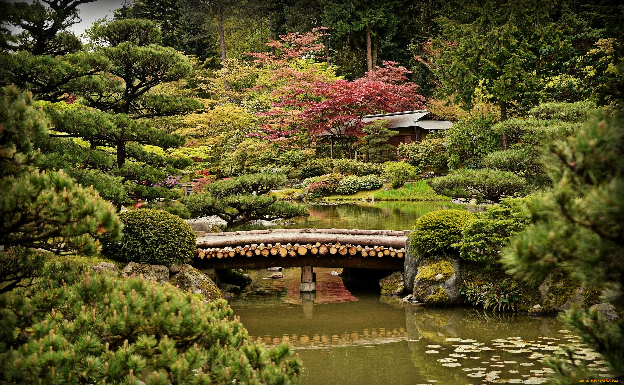 природа, парк, мост