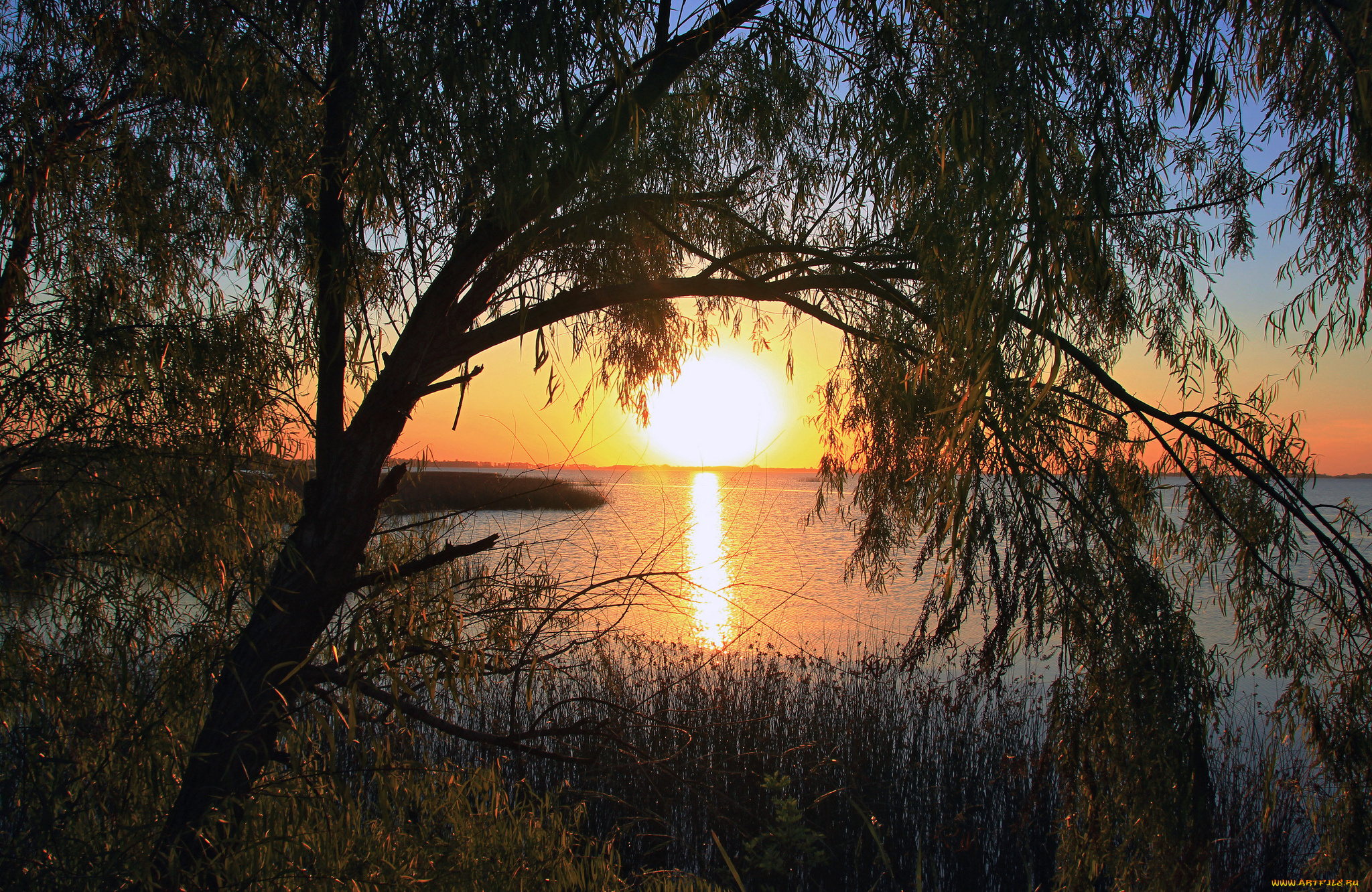 природа, восходы, закаты, крона, дерево, солнце