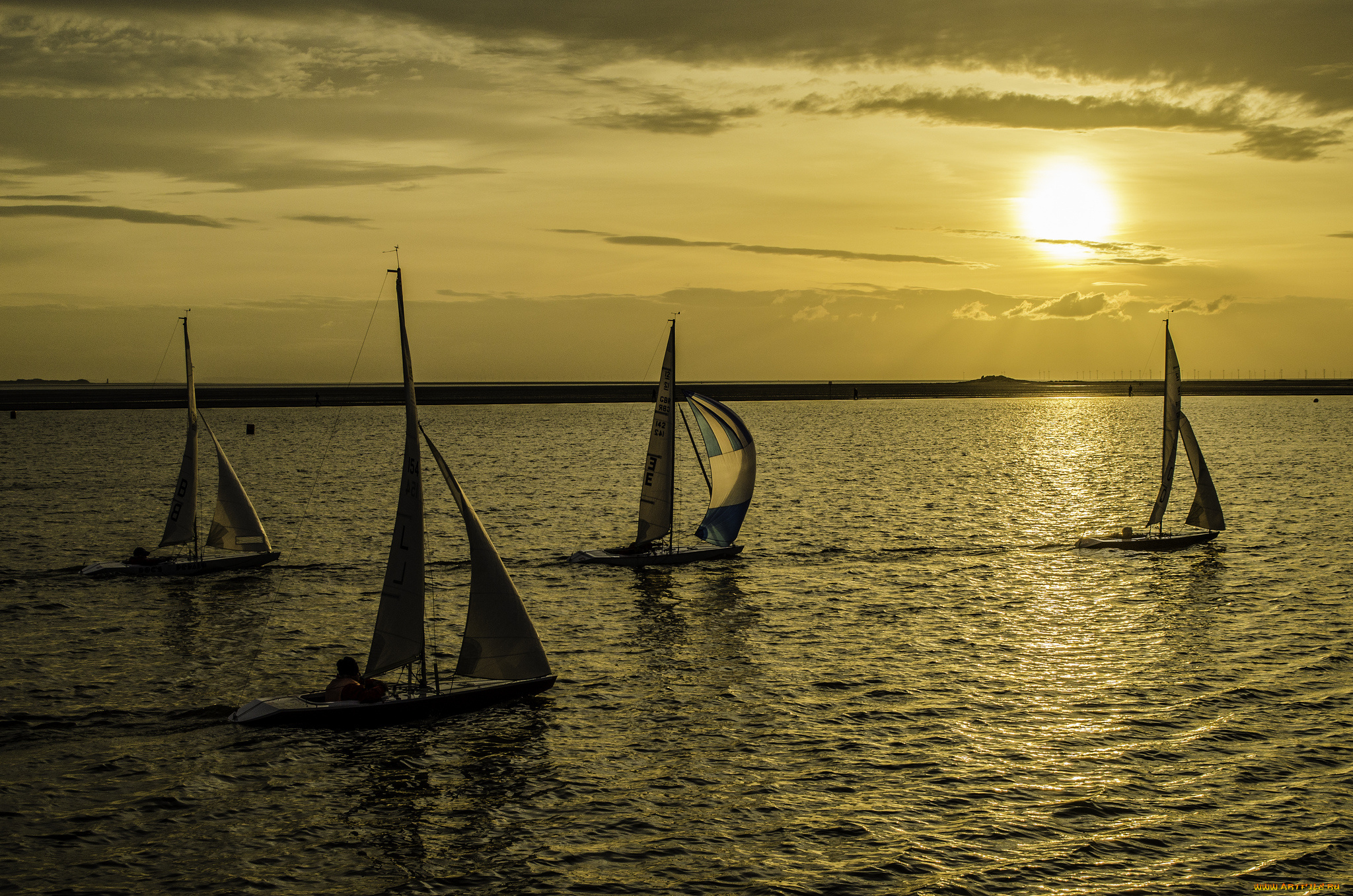 спорт, парусный, спорт, озеро, паруса, солнце