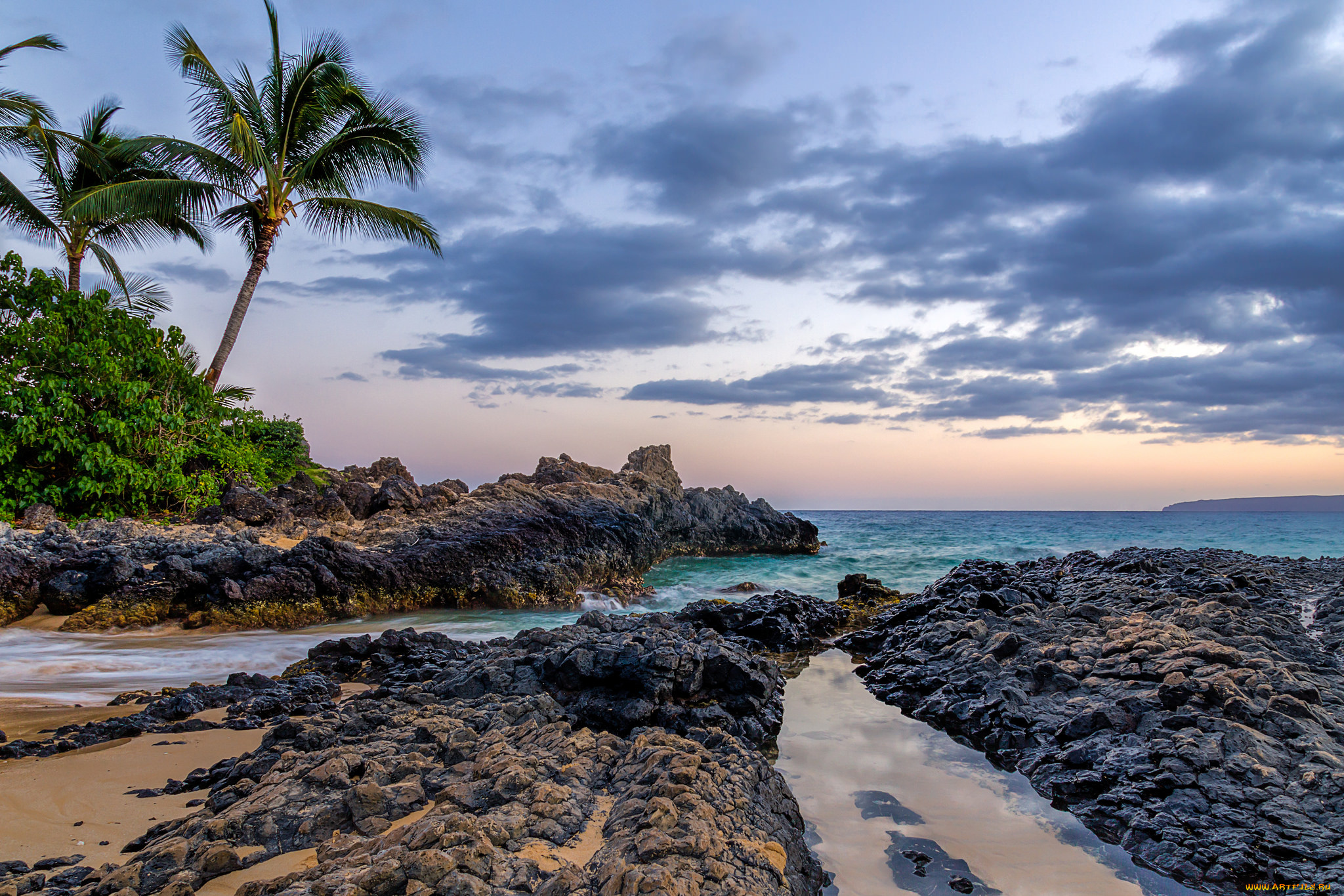 природа, тропики, горизонт, пальмы, океан, рифы