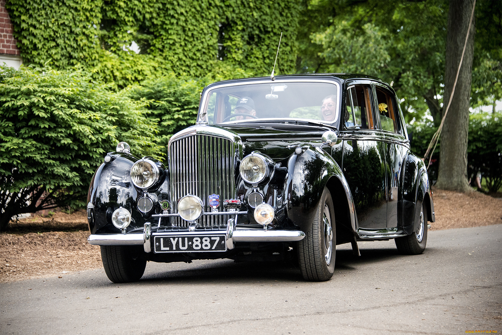 bentley, автомобили, выставка, автошоу, автопробег