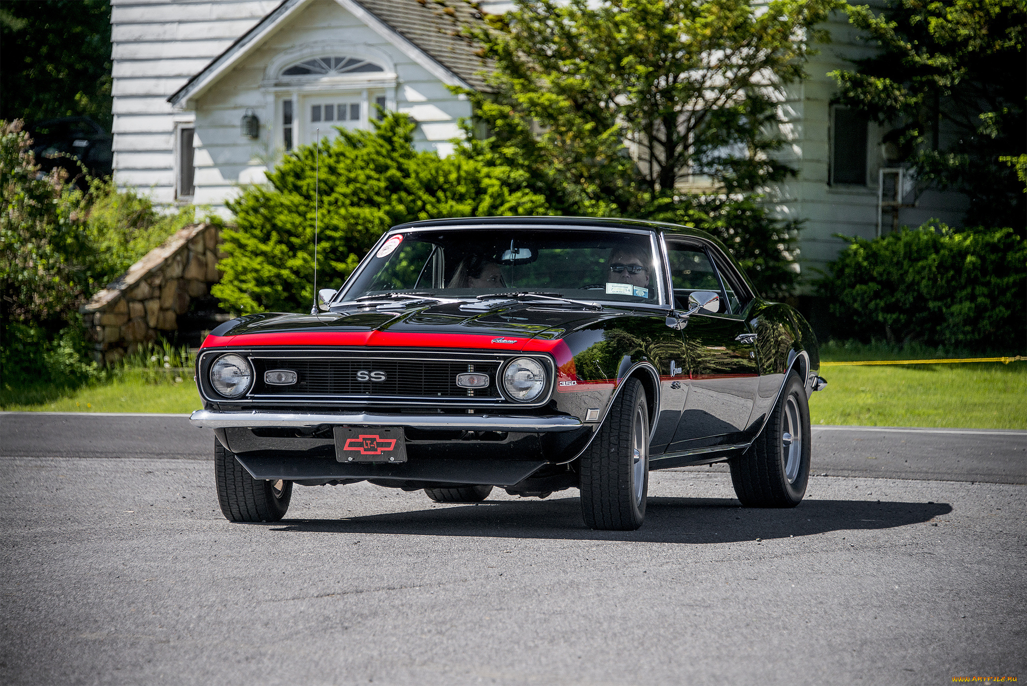 chevrolet, camaro, ss, автомобили, camaro, автошоу, выставка, автопробег