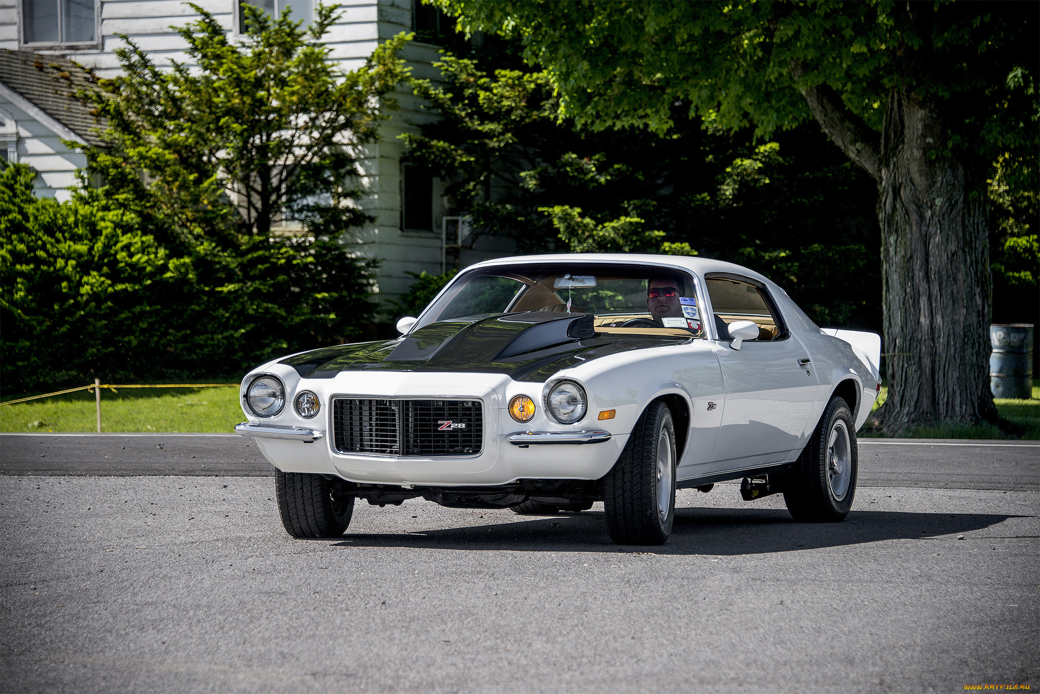 chevrolet, camaro, z28, автомобили, camaro, выставка, автопробег, автошоу