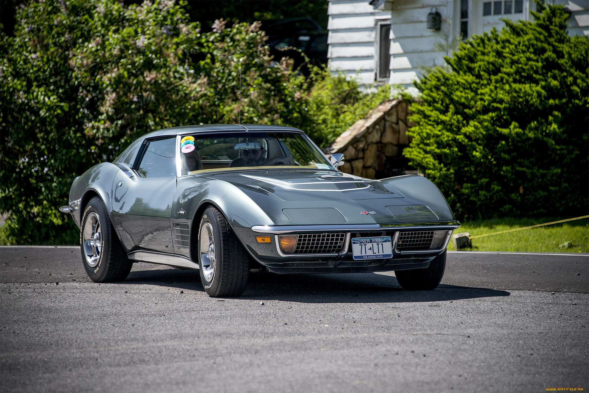 chevrolet, corvette, автомобили, corvette, автошоу, автопробег, выставка