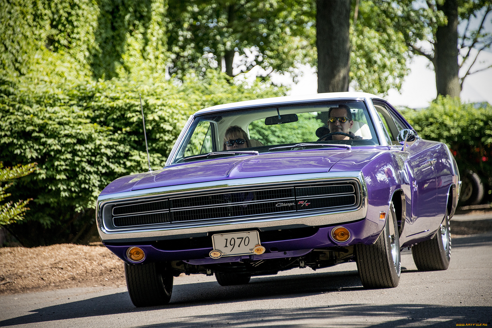 dodge, charger, rt, автомобили, dodge, выставка, автошоу, автопробег