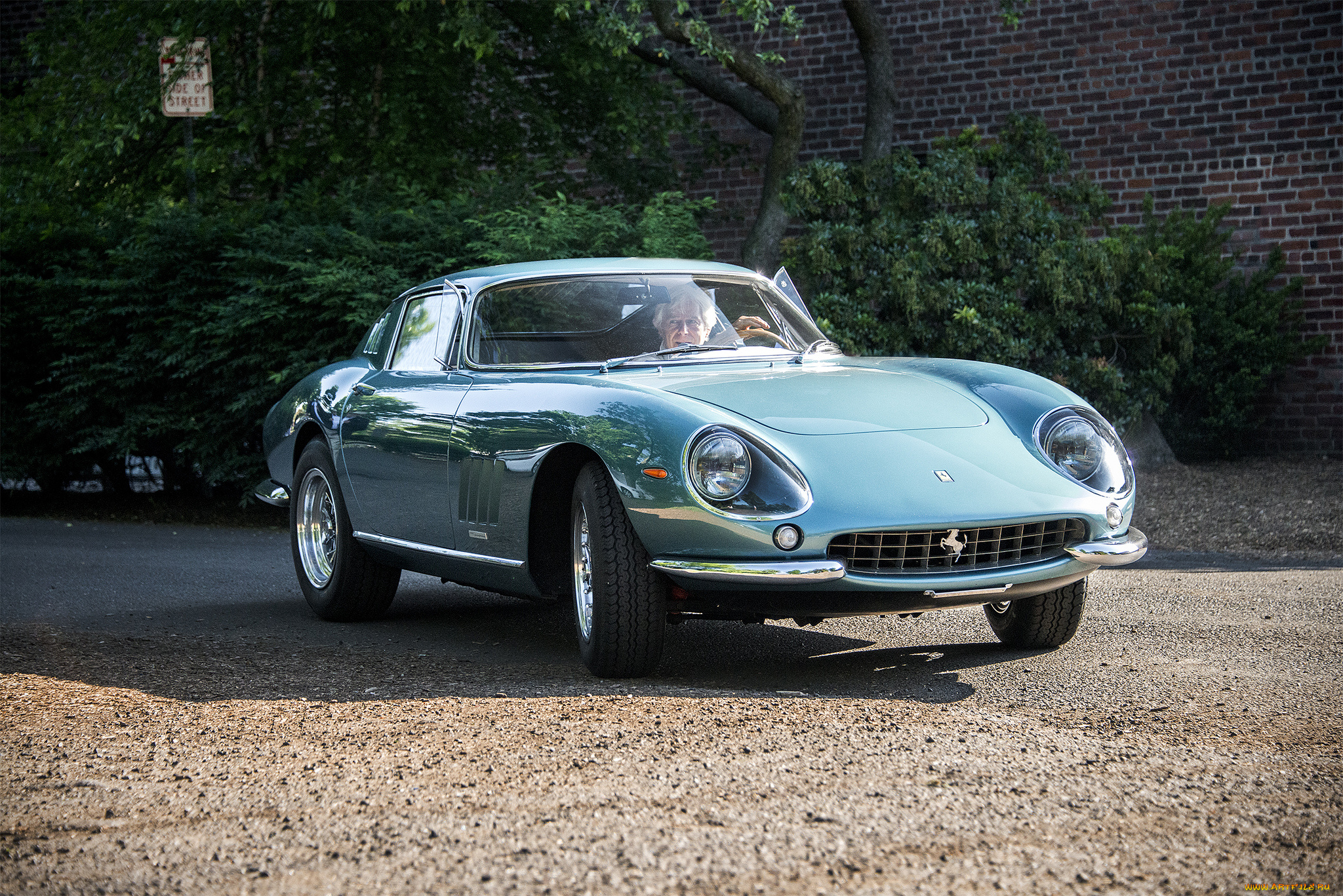 ferrari, 275, gtb, автомобили, ferrari, автошоу, автопробег, выставка