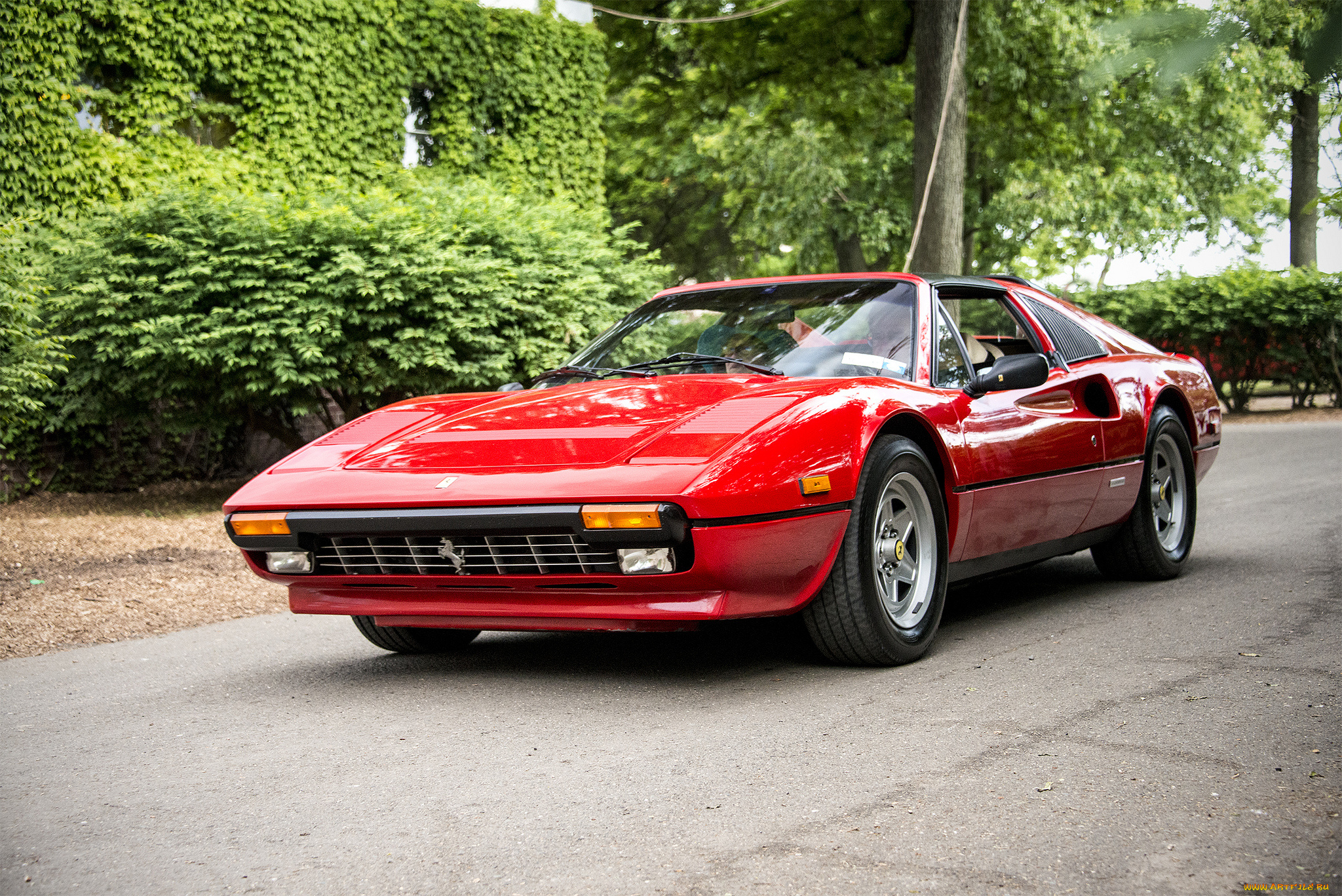 ferrari, 308, автомобили, ferrari, автопробег, выставка, автошоу
