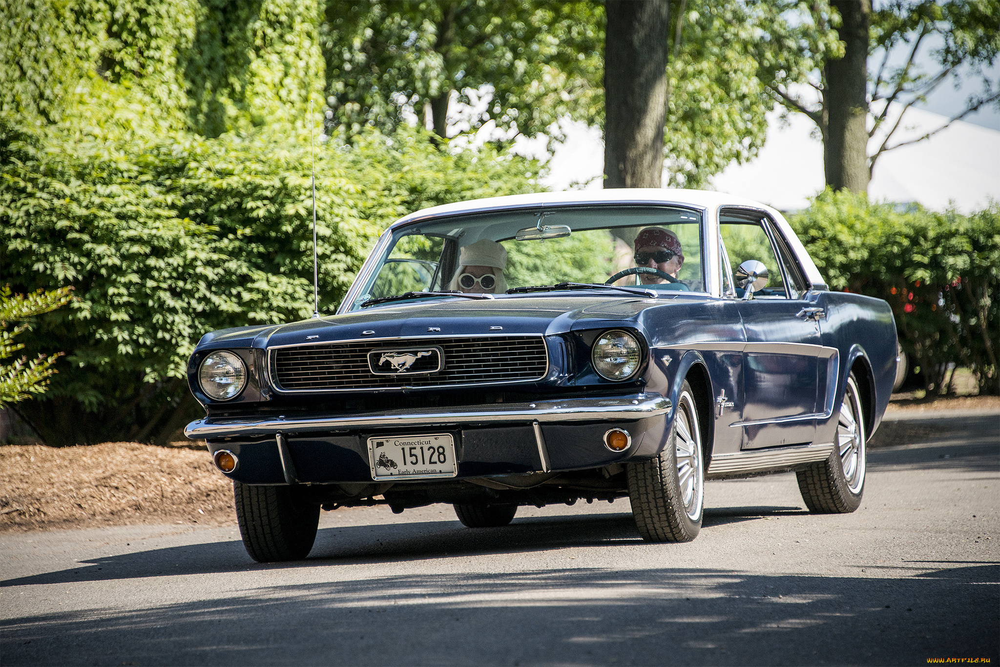 ford, mustang, автомобили, mustang, автошоу, автопробег, выставка