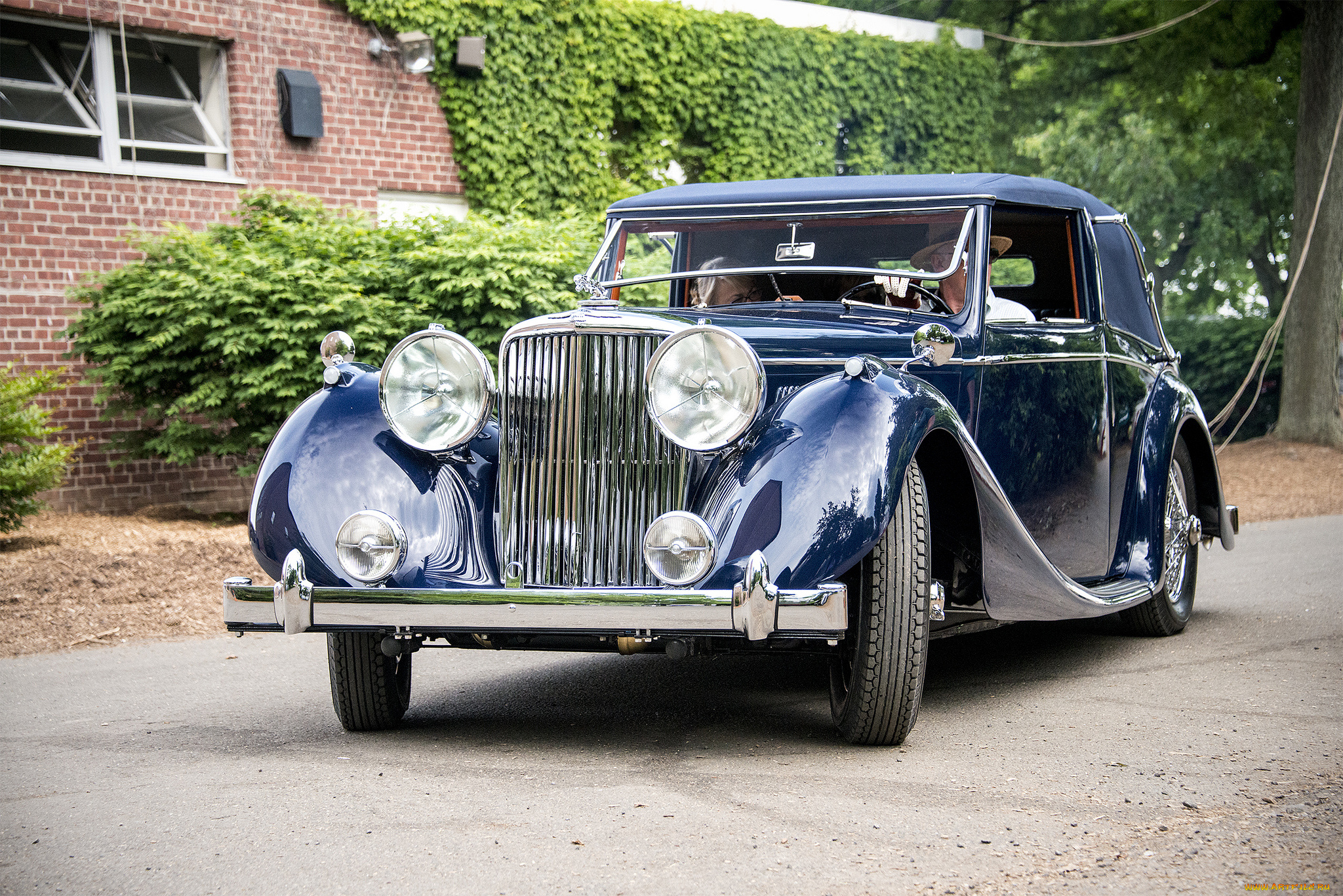 jaguar, автомобили, классика, выставка, автошоу, автопробег