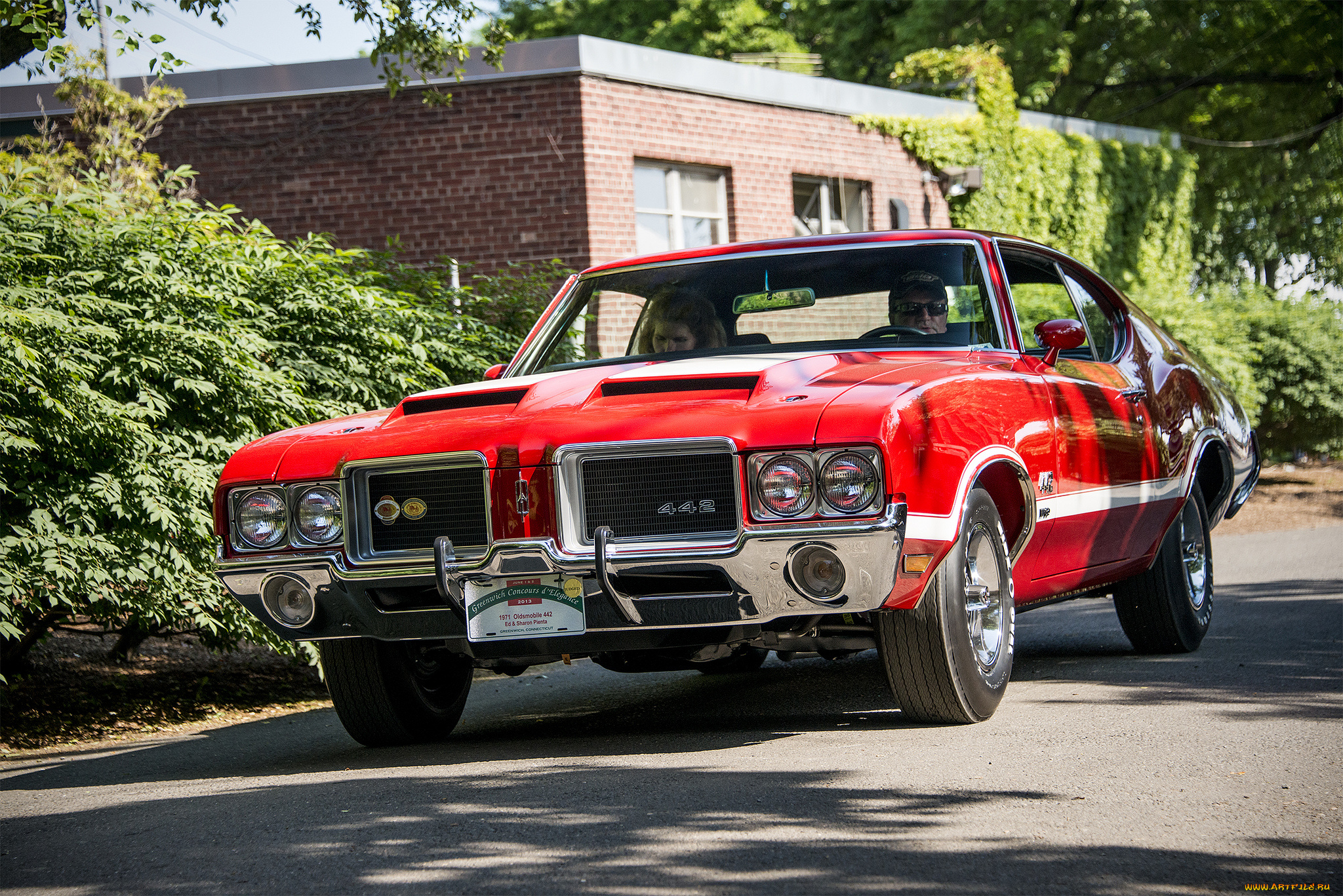 oldsmobile, 442, , 1971, автомобили, oldsmobile, автопробег, выставка, автошоу