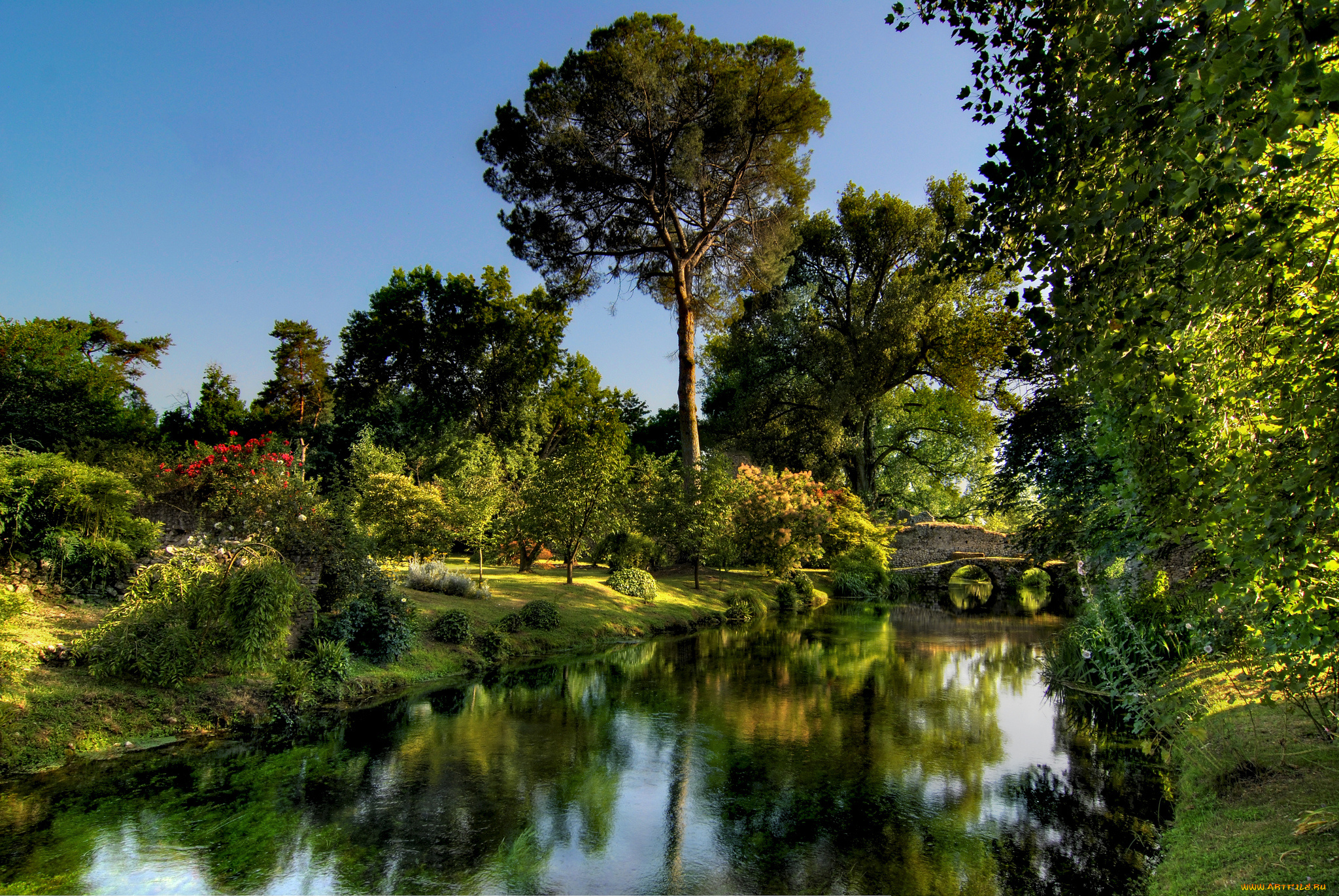 природа, реки, озера, лес, мост, река