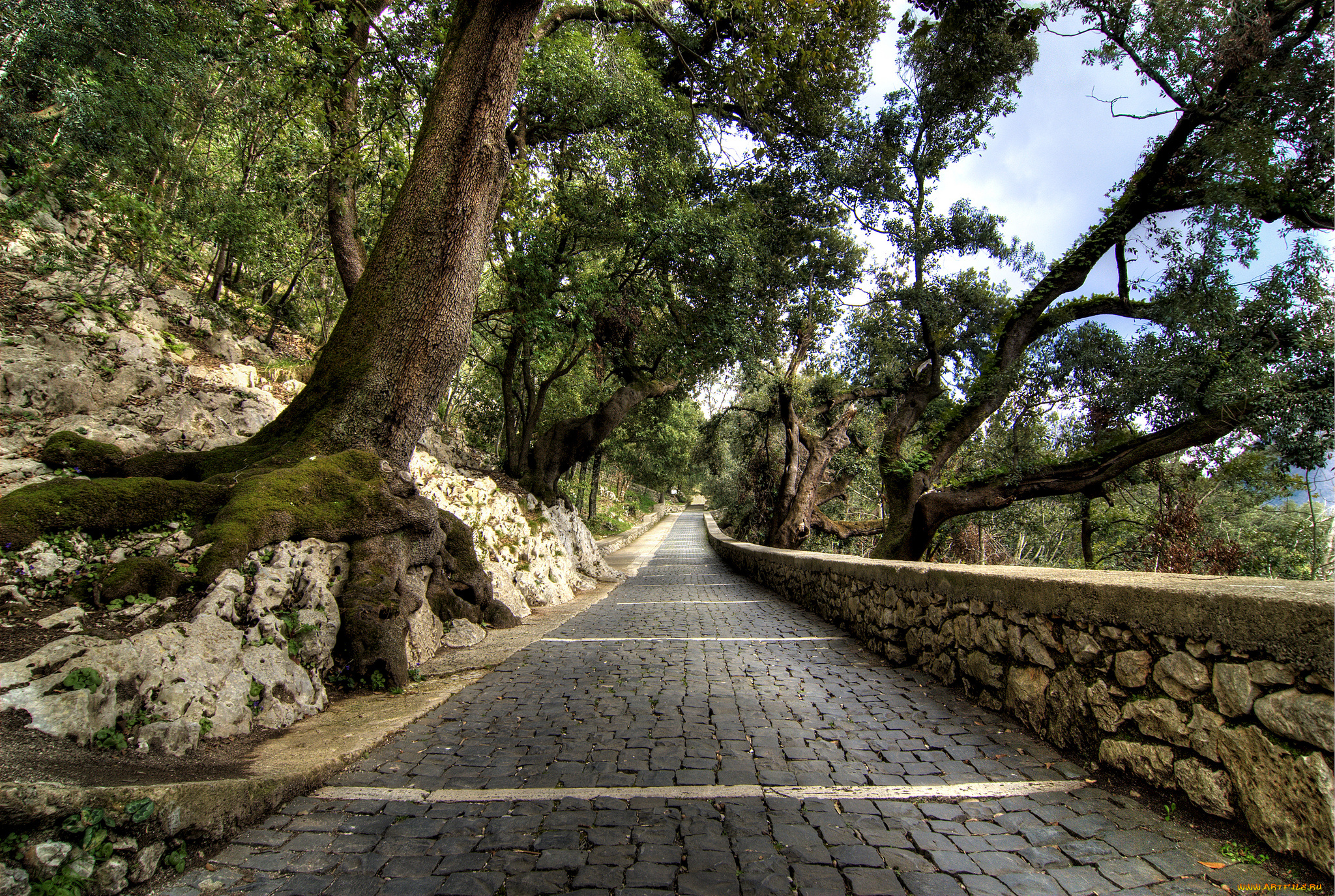 природа, дороги, склон, дорожка, парк, бордюр, деревья