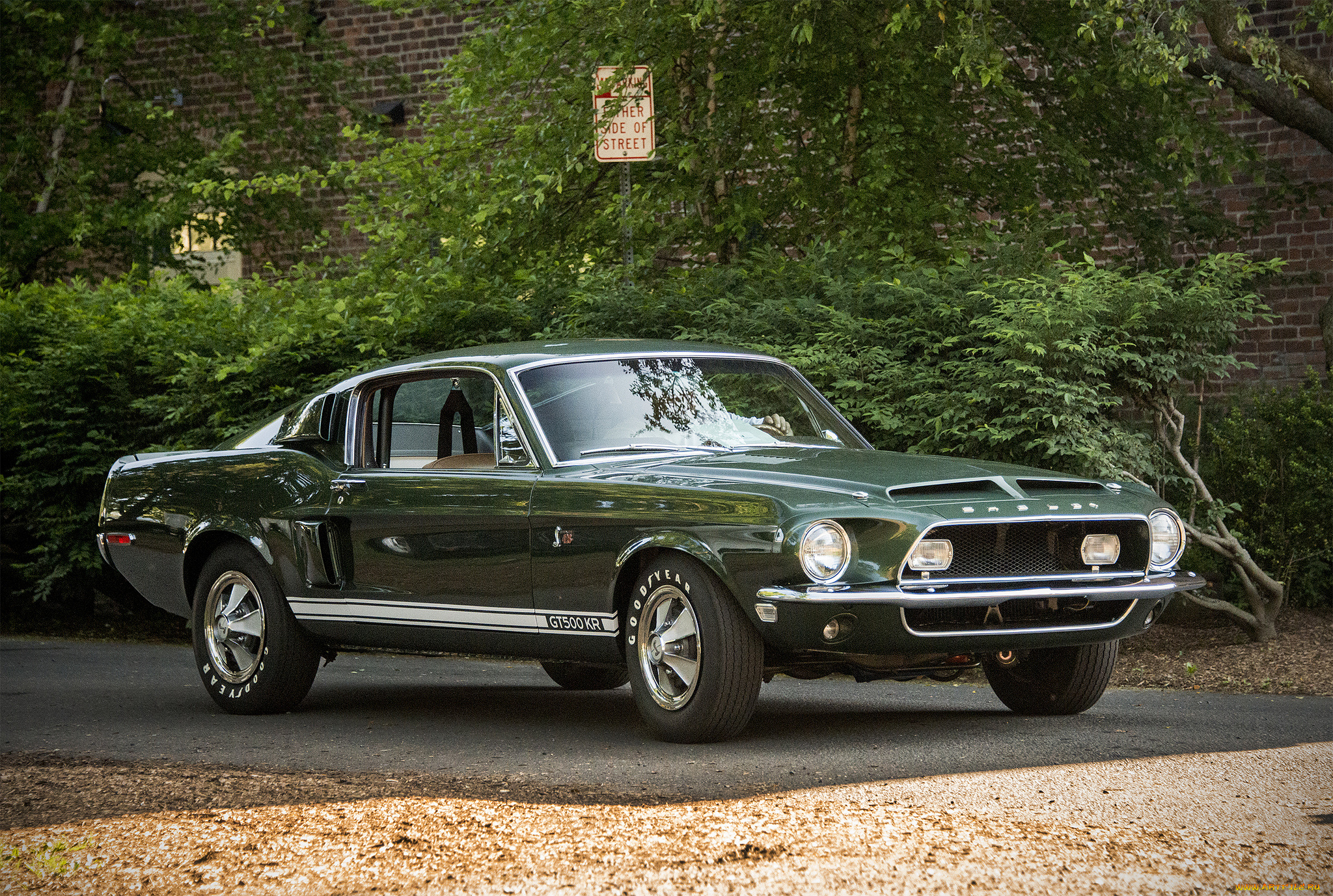 ford, mustang, gt500, kr, автомобили, mustang, автопробег, выставка, автошоу