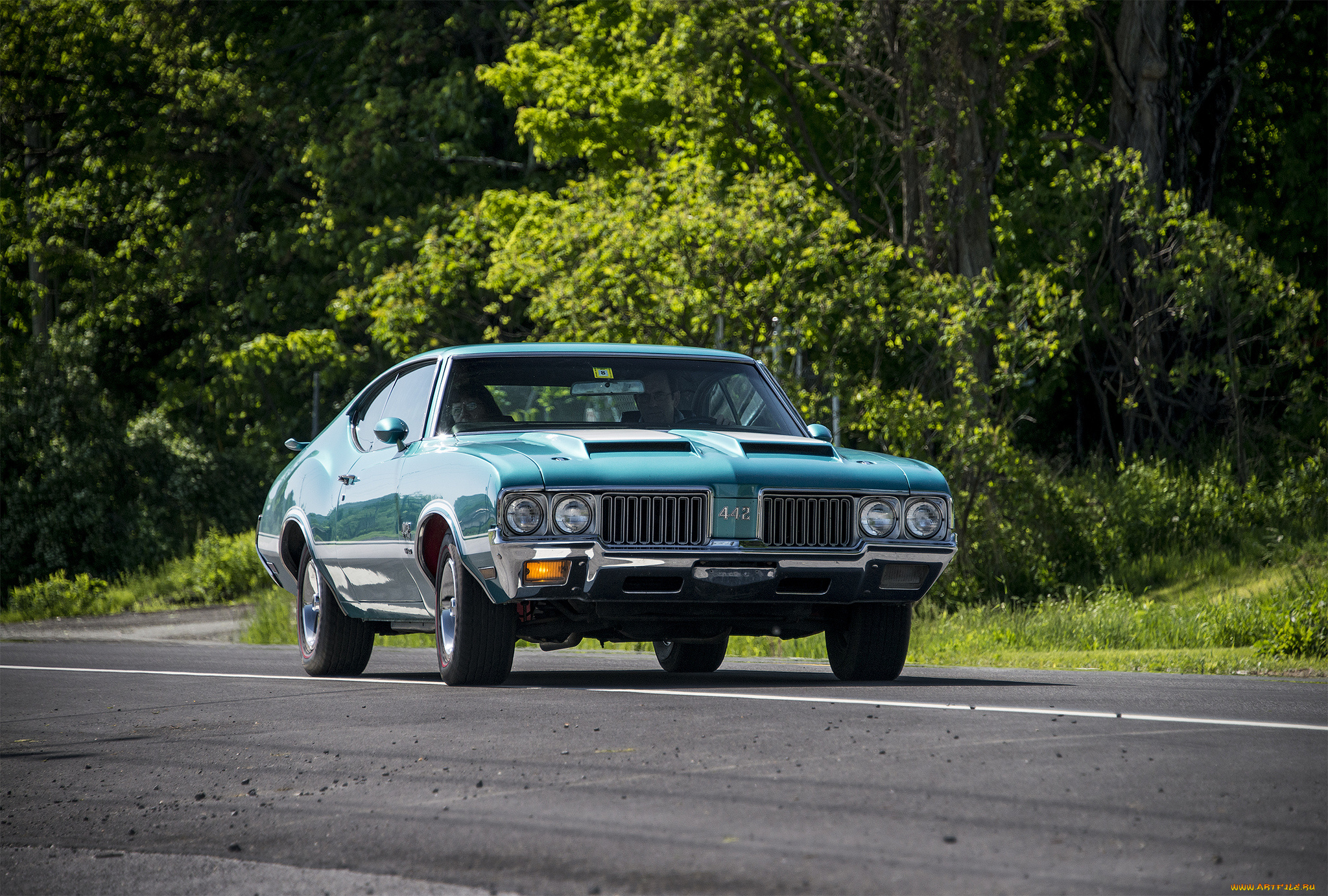 oldsmobile, 442, автомобили, oldsmobile, автопробег, выставка, автошоу