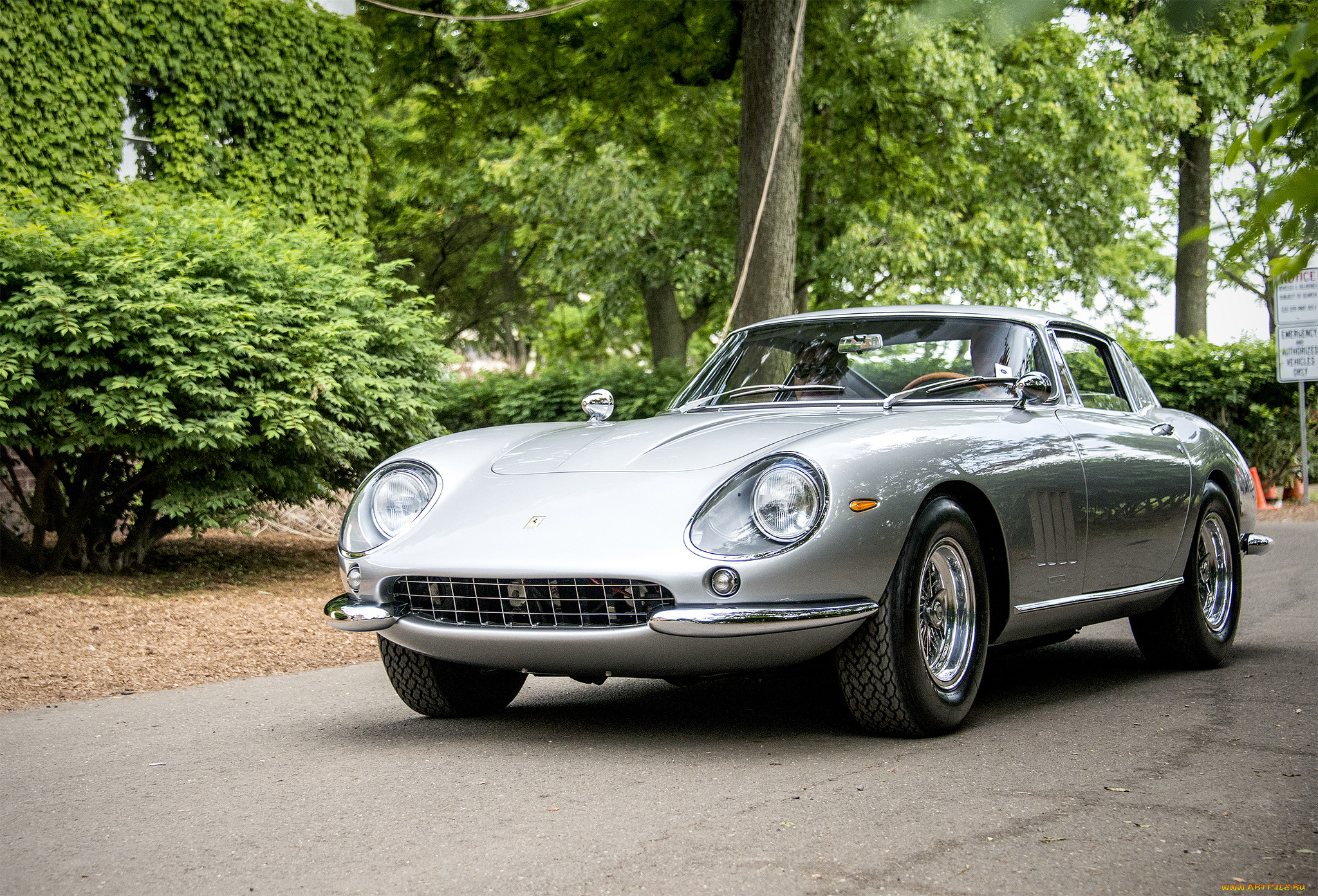 ferrari, 275, gtb, автомобили, ferrari, автопробег, выставка, автошоу