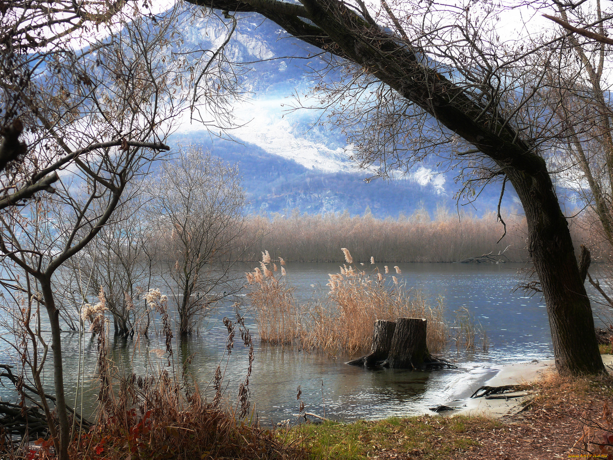 природа, пейзажи, дерево, камыш, река, горы, осень