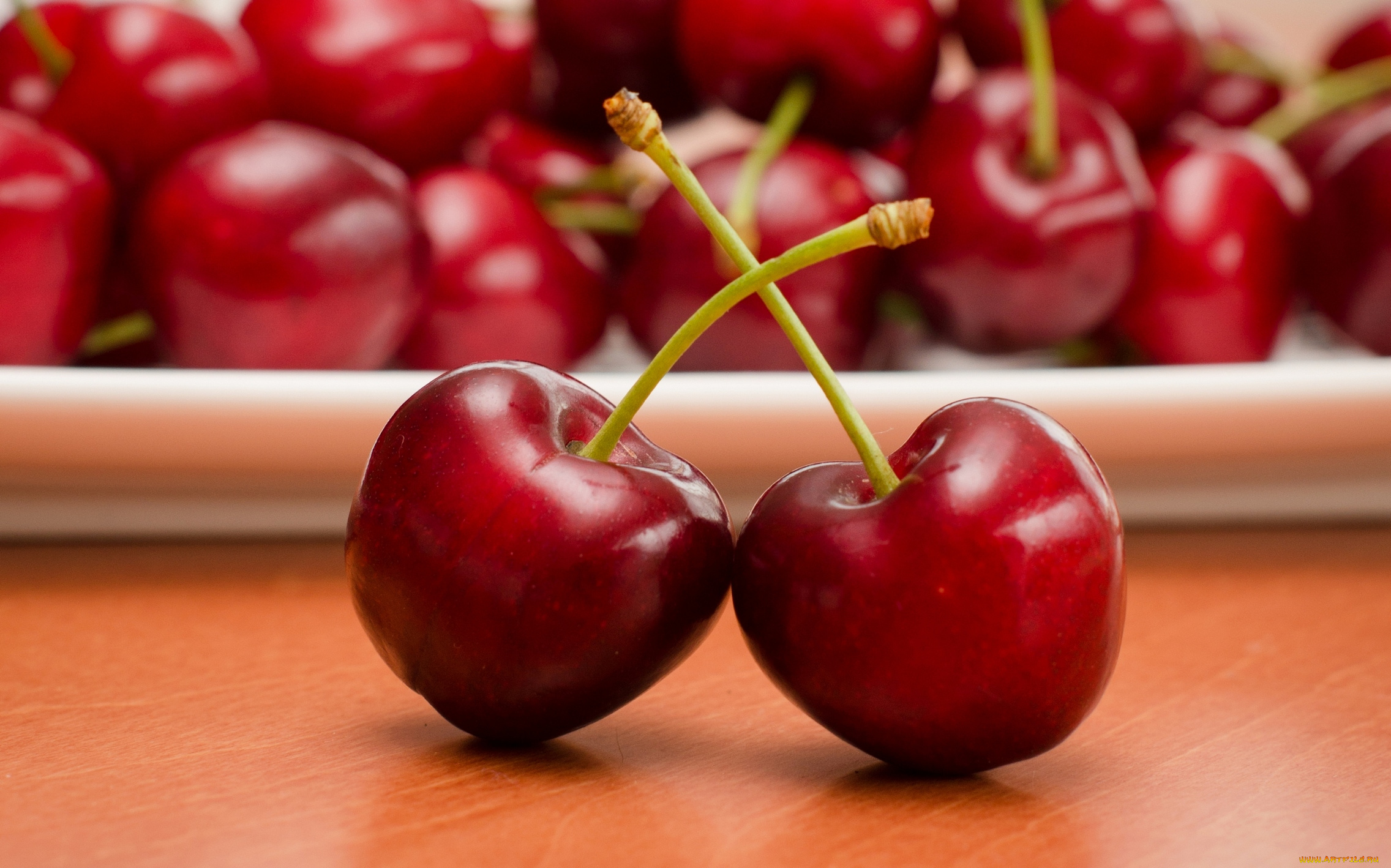 еда, вишня, , черешня, фрукты, черешня, веточки