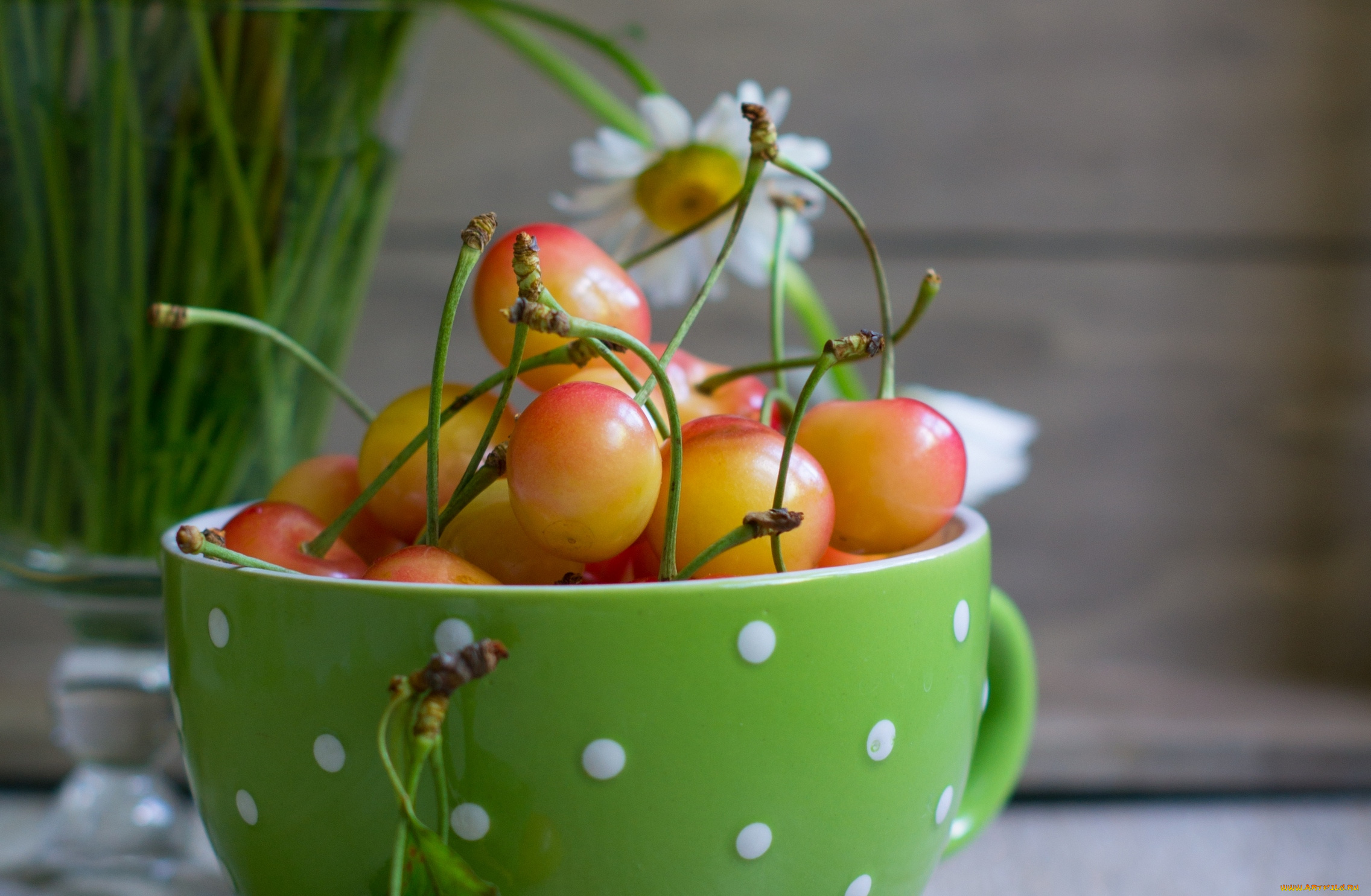 еда, вишня, , черешня, кружка, желтая, черешня, цветок, ромашка