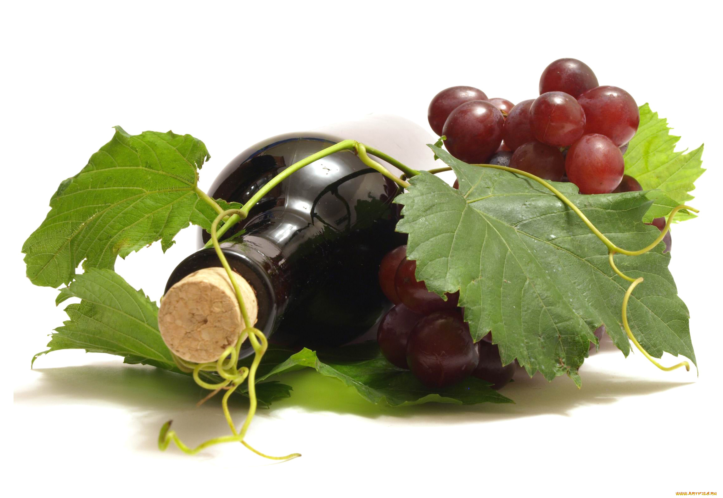 еда, напитки, , вино, бутылка