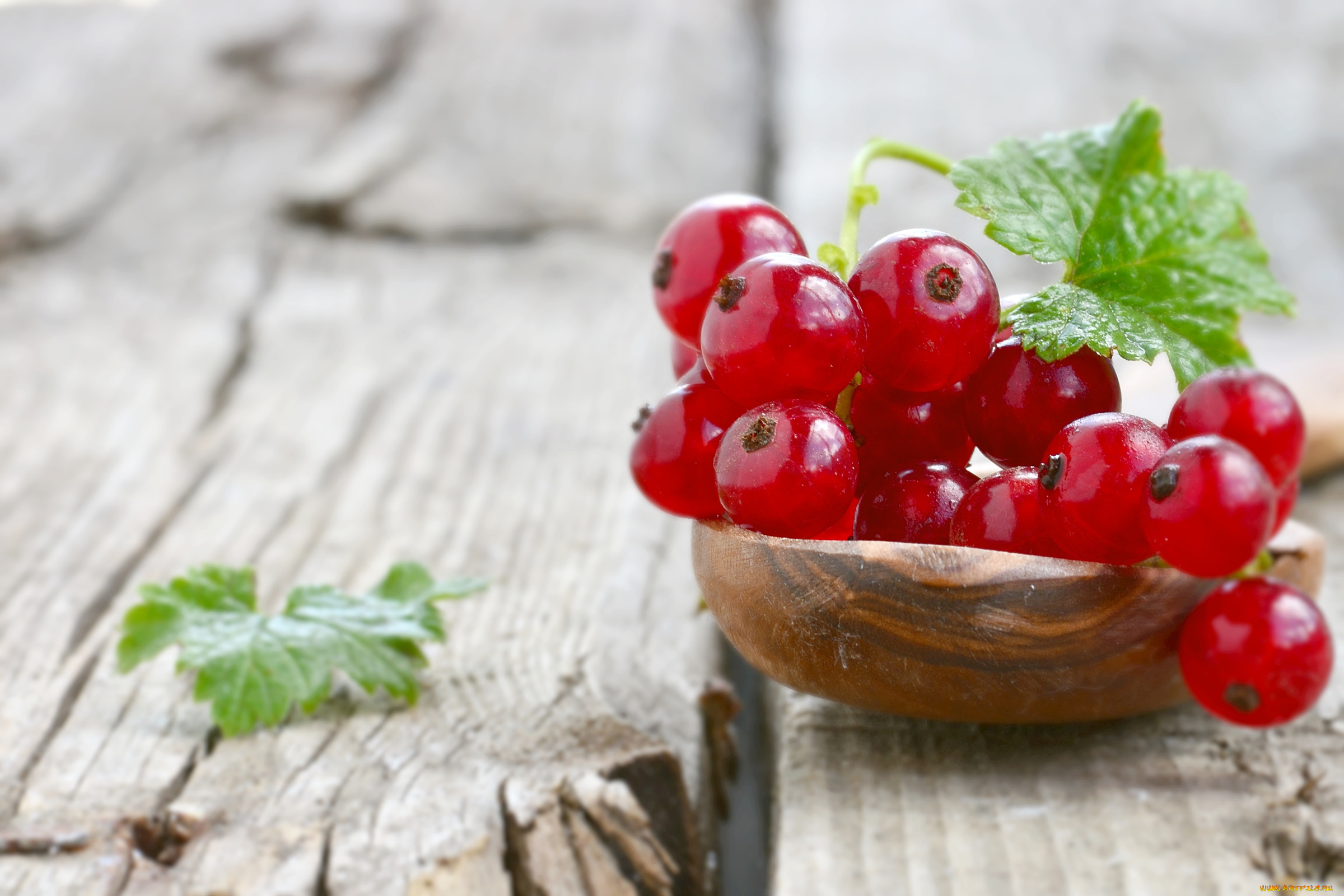 еда, смородина, красная