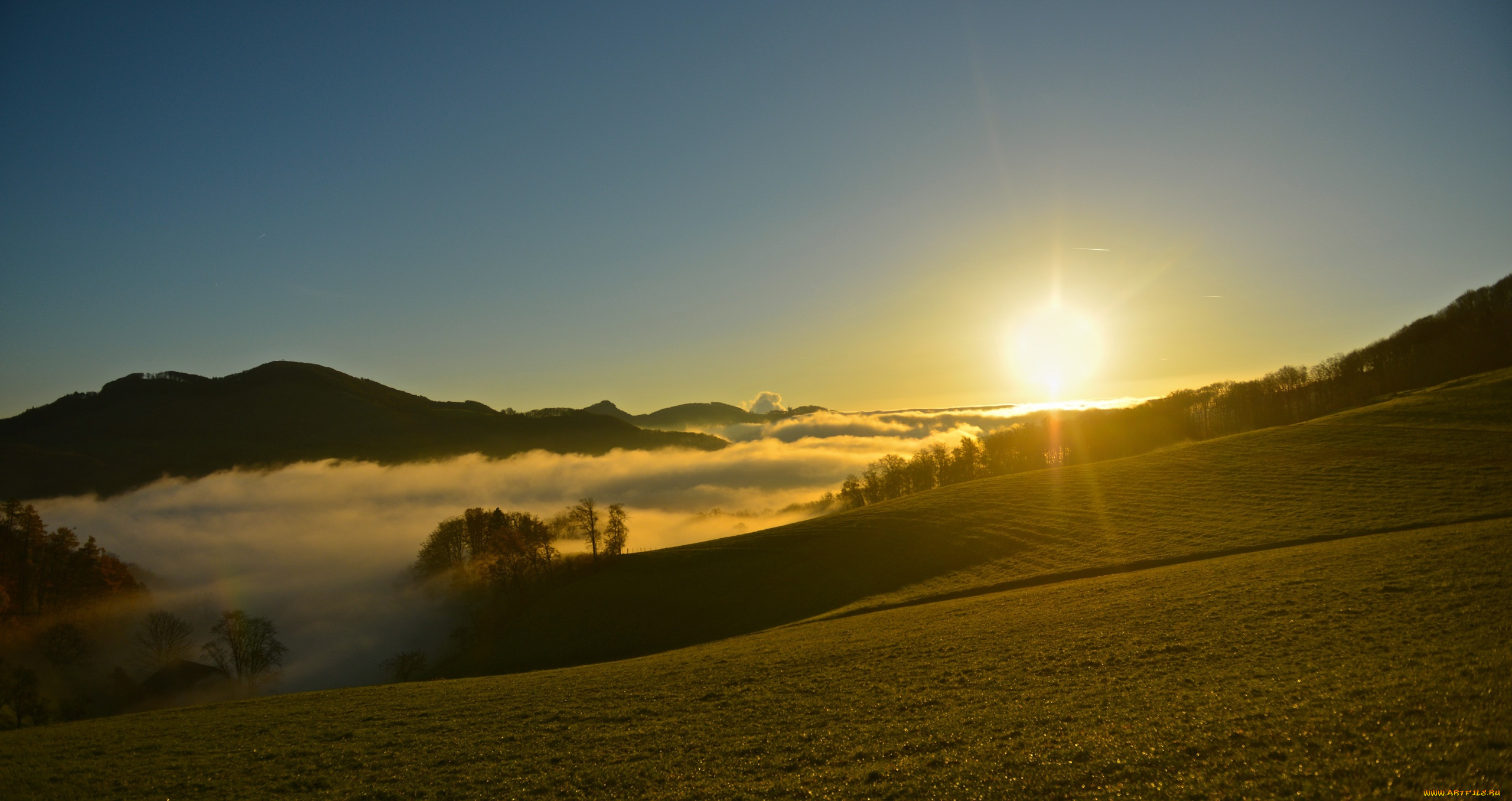 природа, восходы, закаты, солнце, свет, небо, холмы, туман, деревья, пейзаж