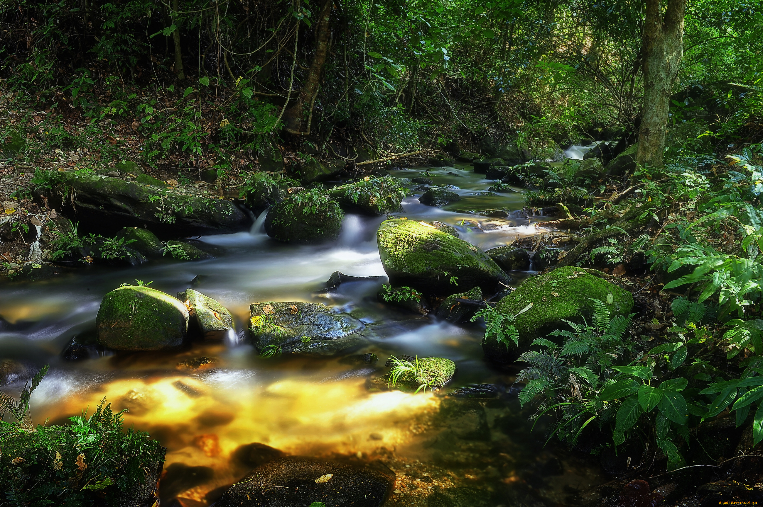 thailand, природа, реки, озера, речка, таиланд, лес, камни