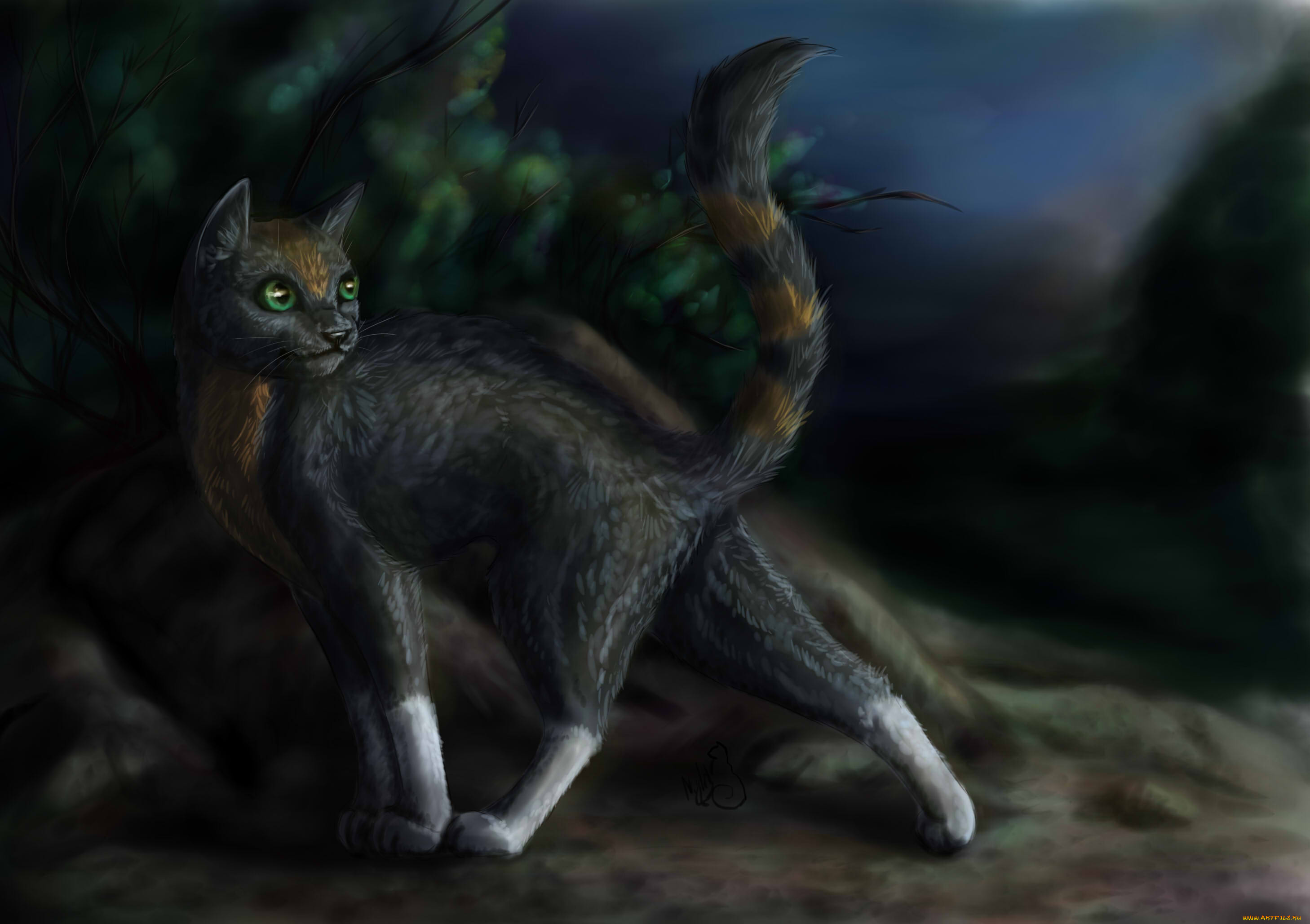 рисованные, животные, , коты, кот, взгляд