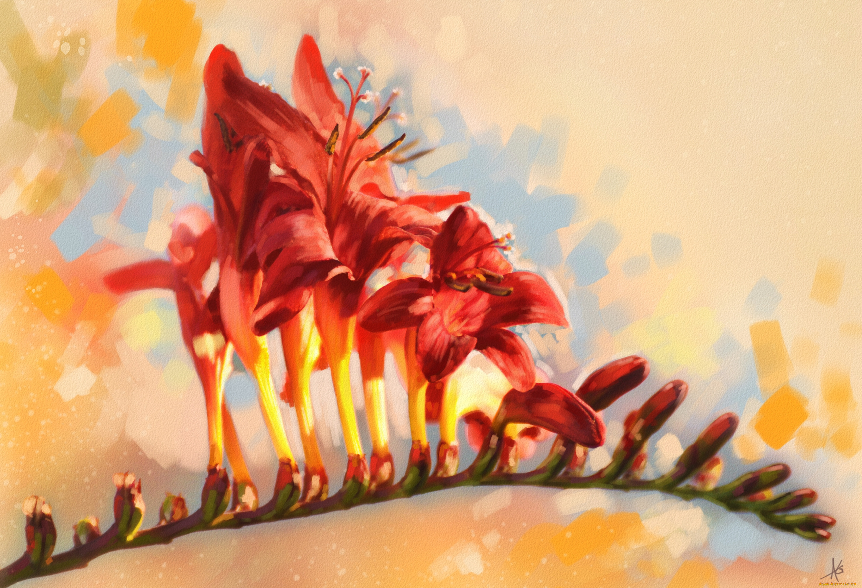 рисованные, цветы, ветка