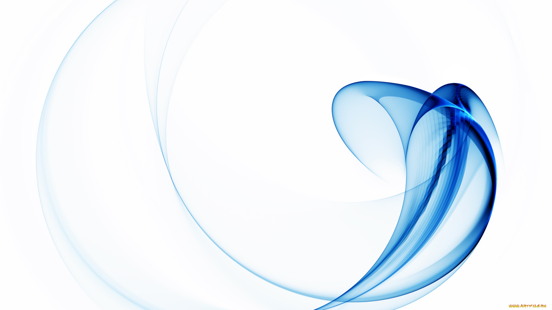 3д, графика, абстракция, , abstract, белый, фон, линии, загогулина