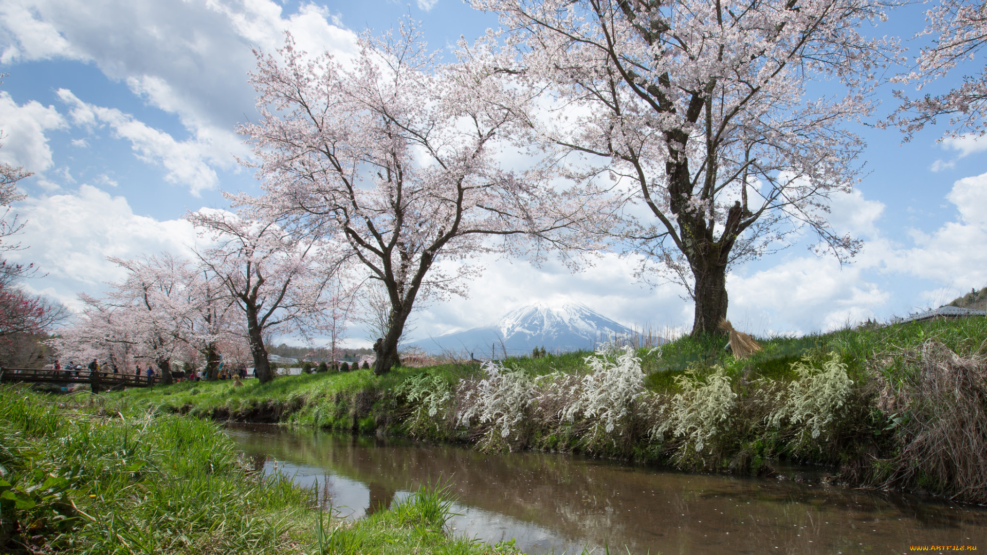 природа, парк, деревья, весна, река, небо
