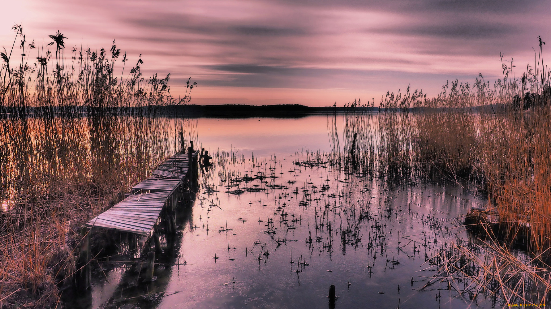 природа, реки, озера, сумерки, мостик, река