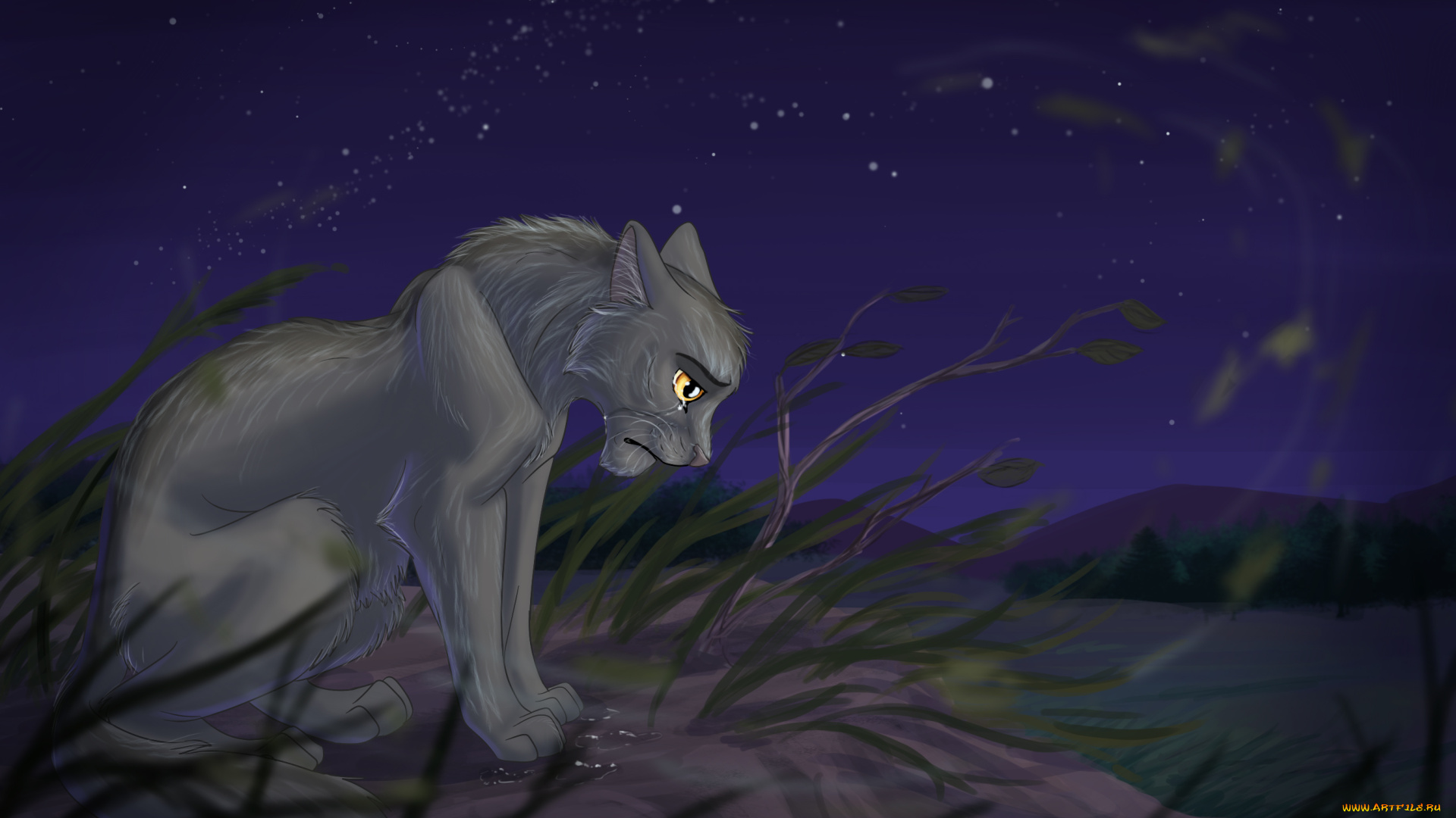 рисованное, животные, , коты, кот, фон, взгляд