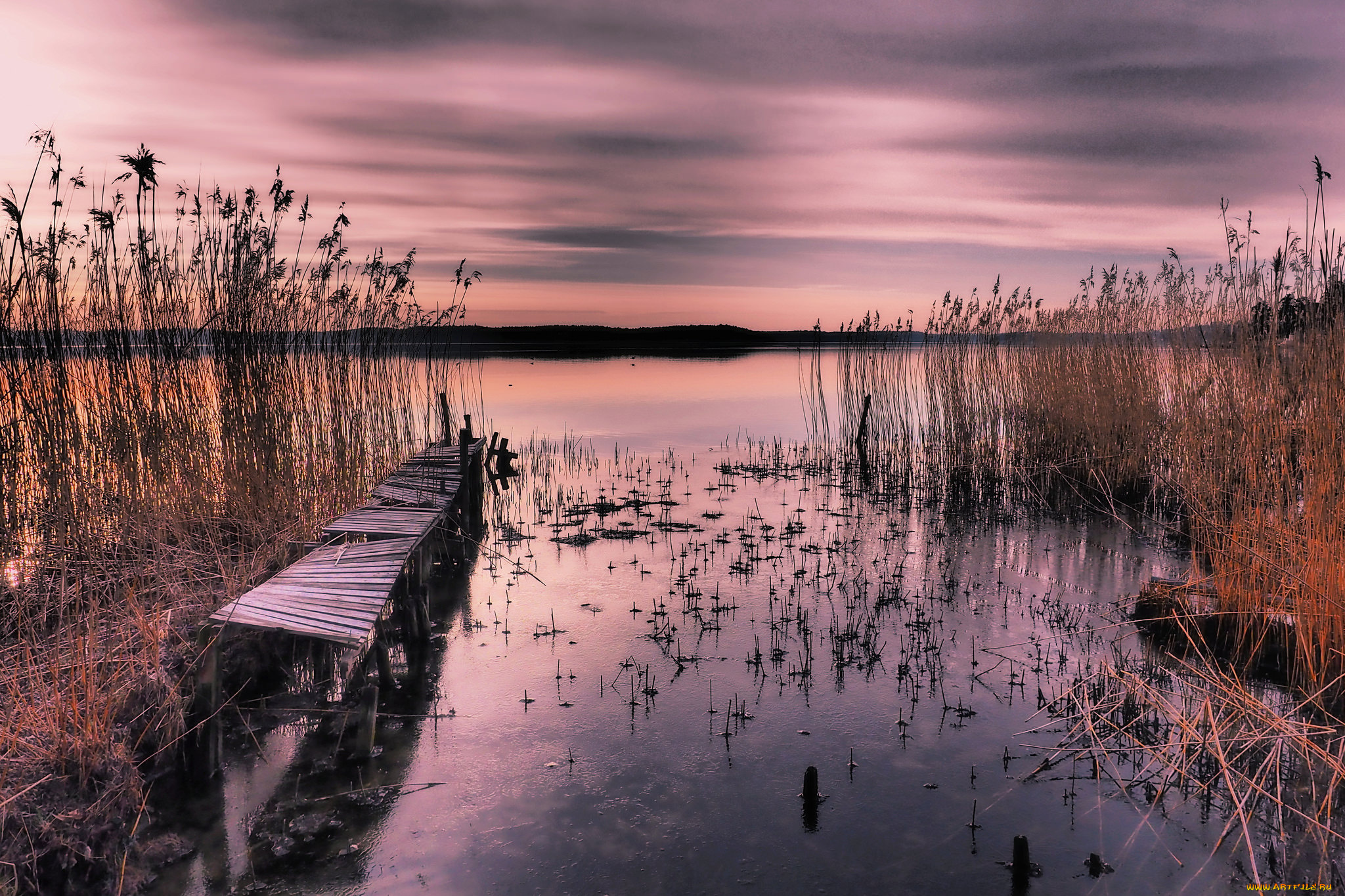 природа, реки, озера, сумерки, мостик, река