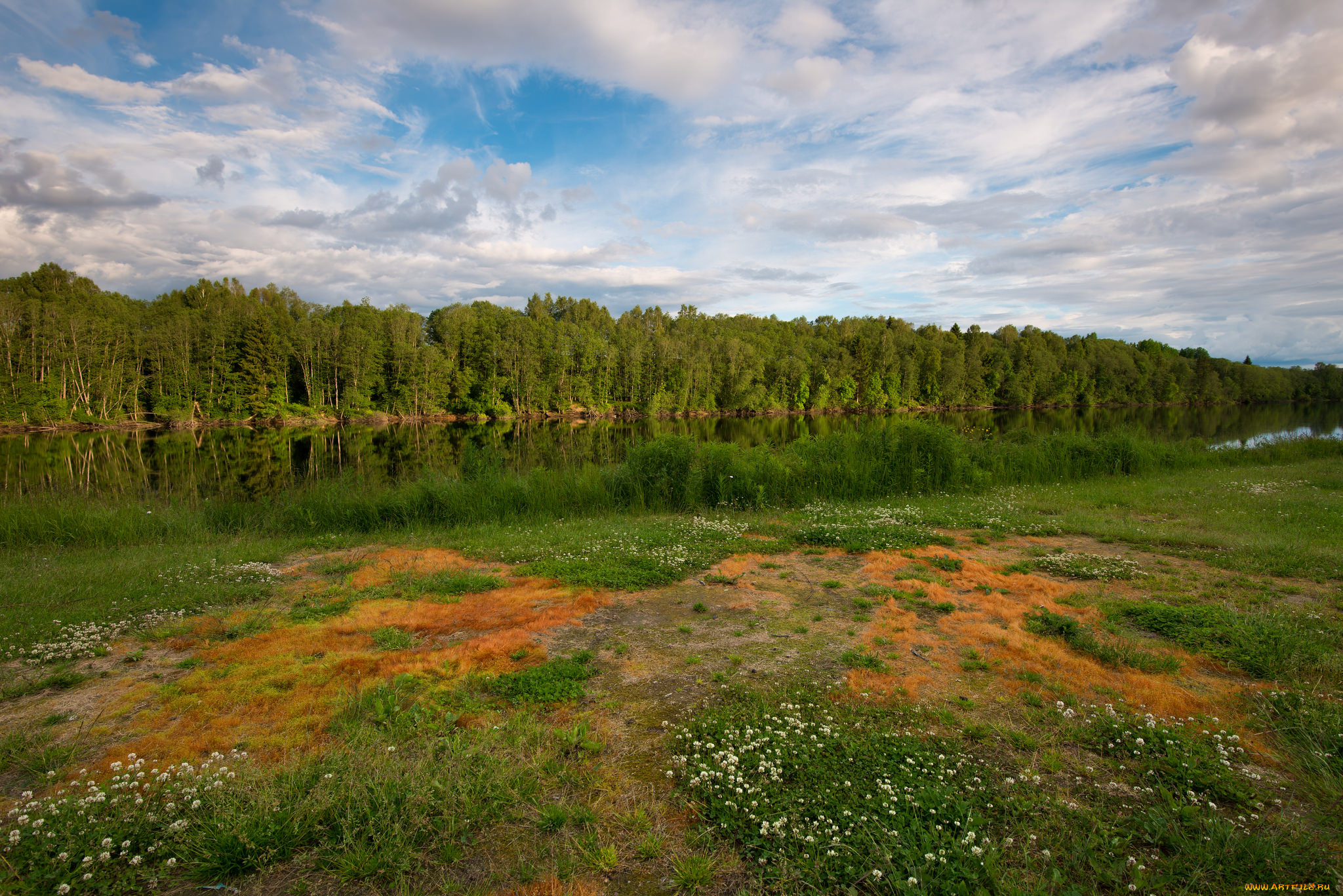 природа, реки, озера, река, лес