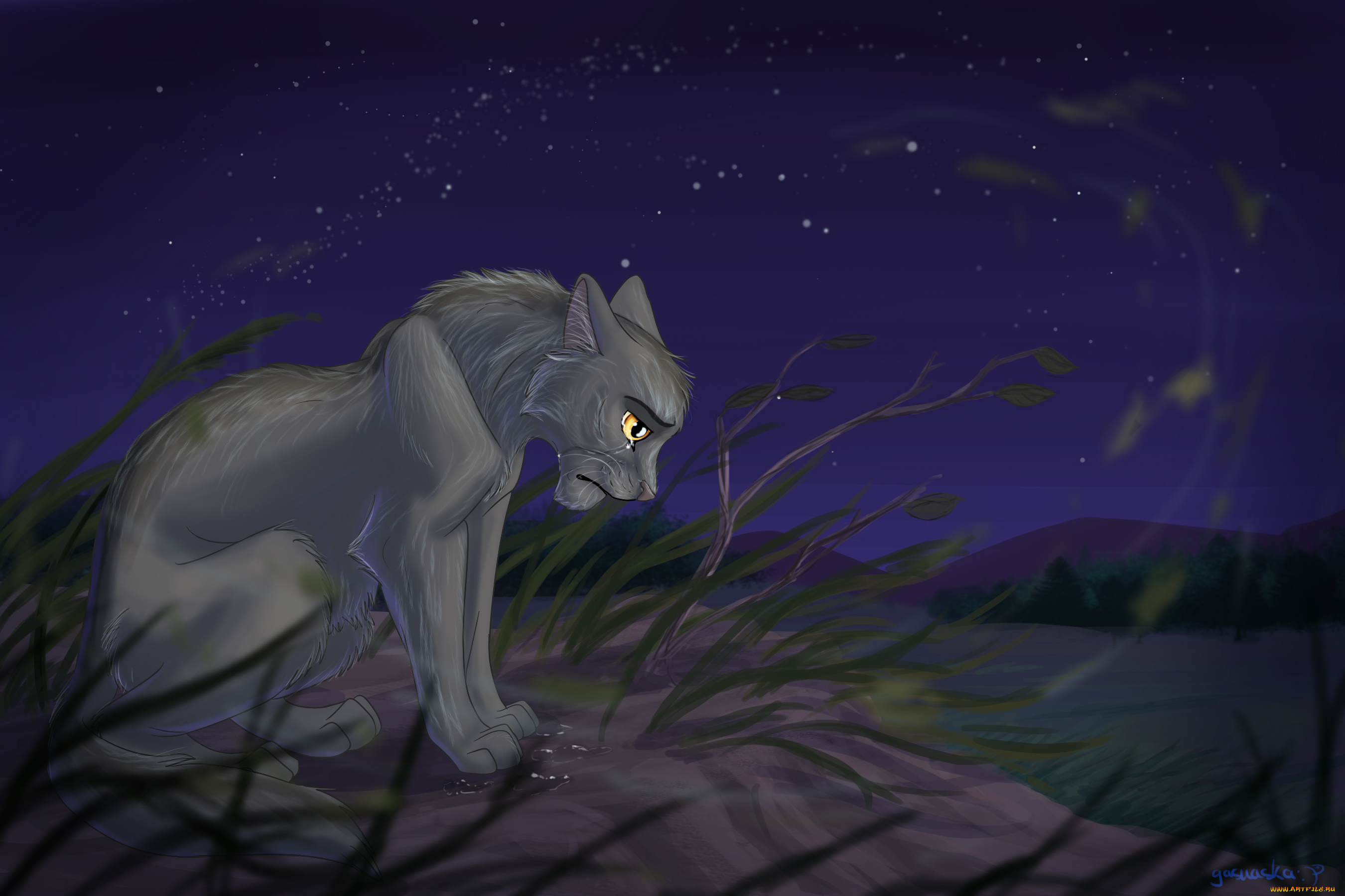 рисованное, животные, , коты, кот, фон, взгляд