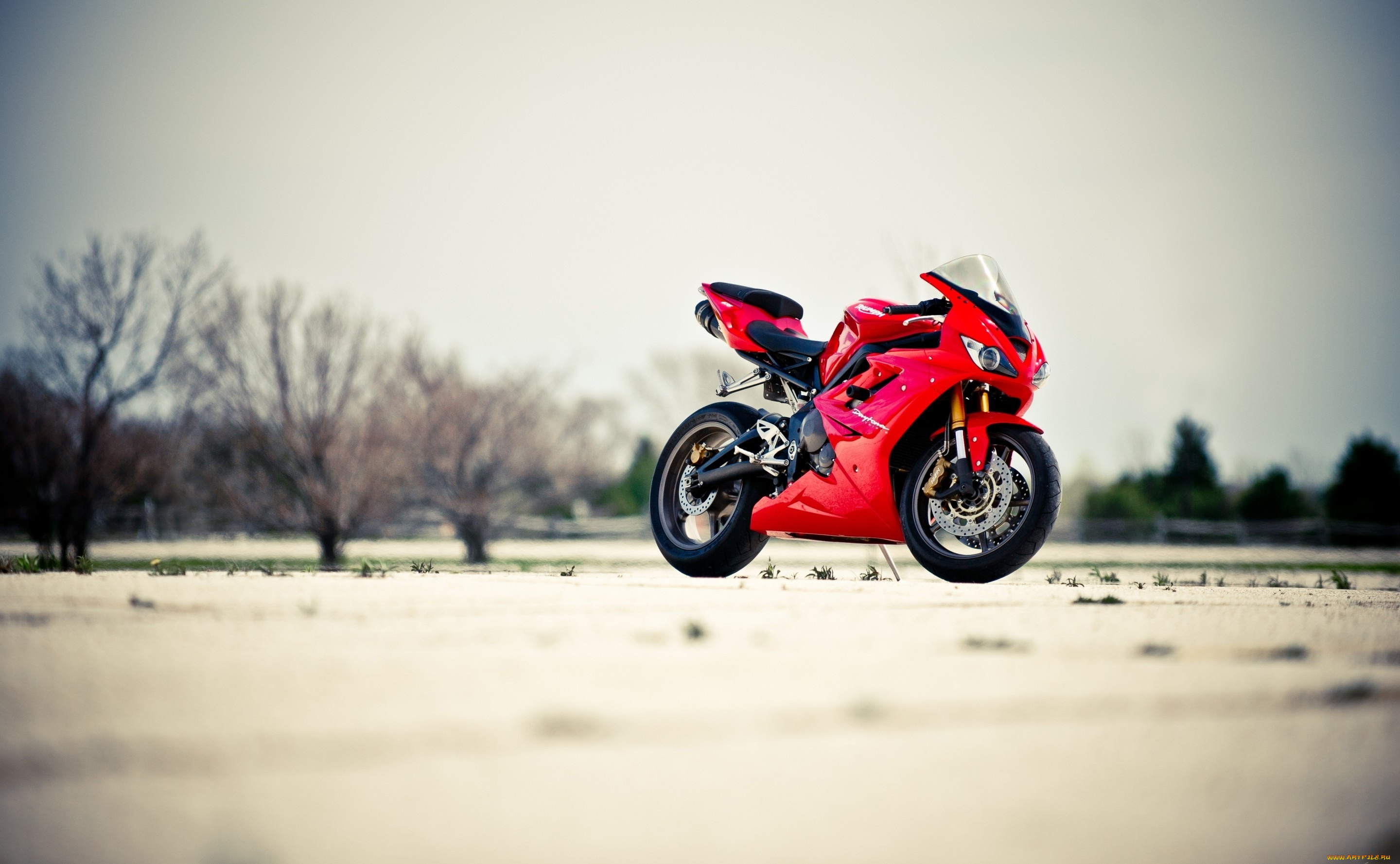 triumf, daytona, мотоциклы, triumph, triumf, daytona