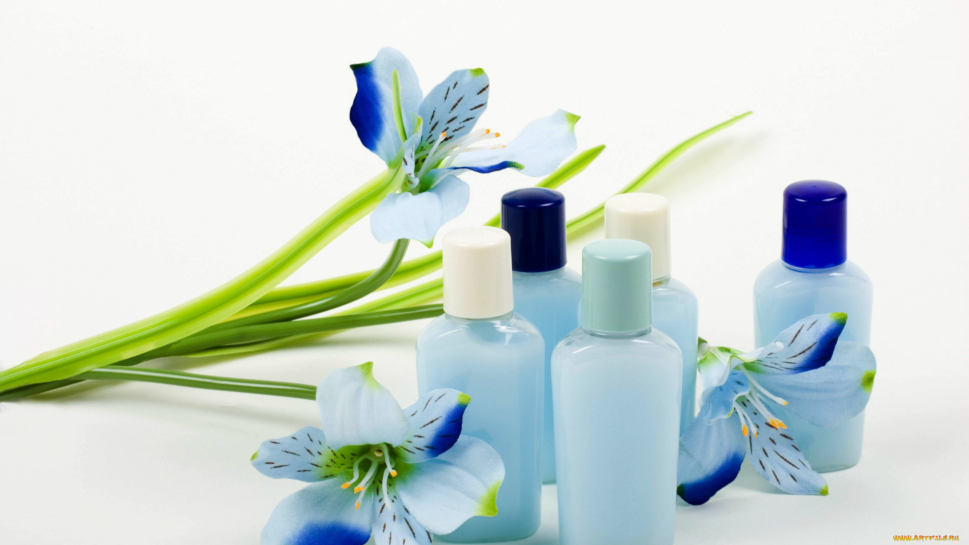 разное, косметические, средства, , духи, флаконы, альстромерия