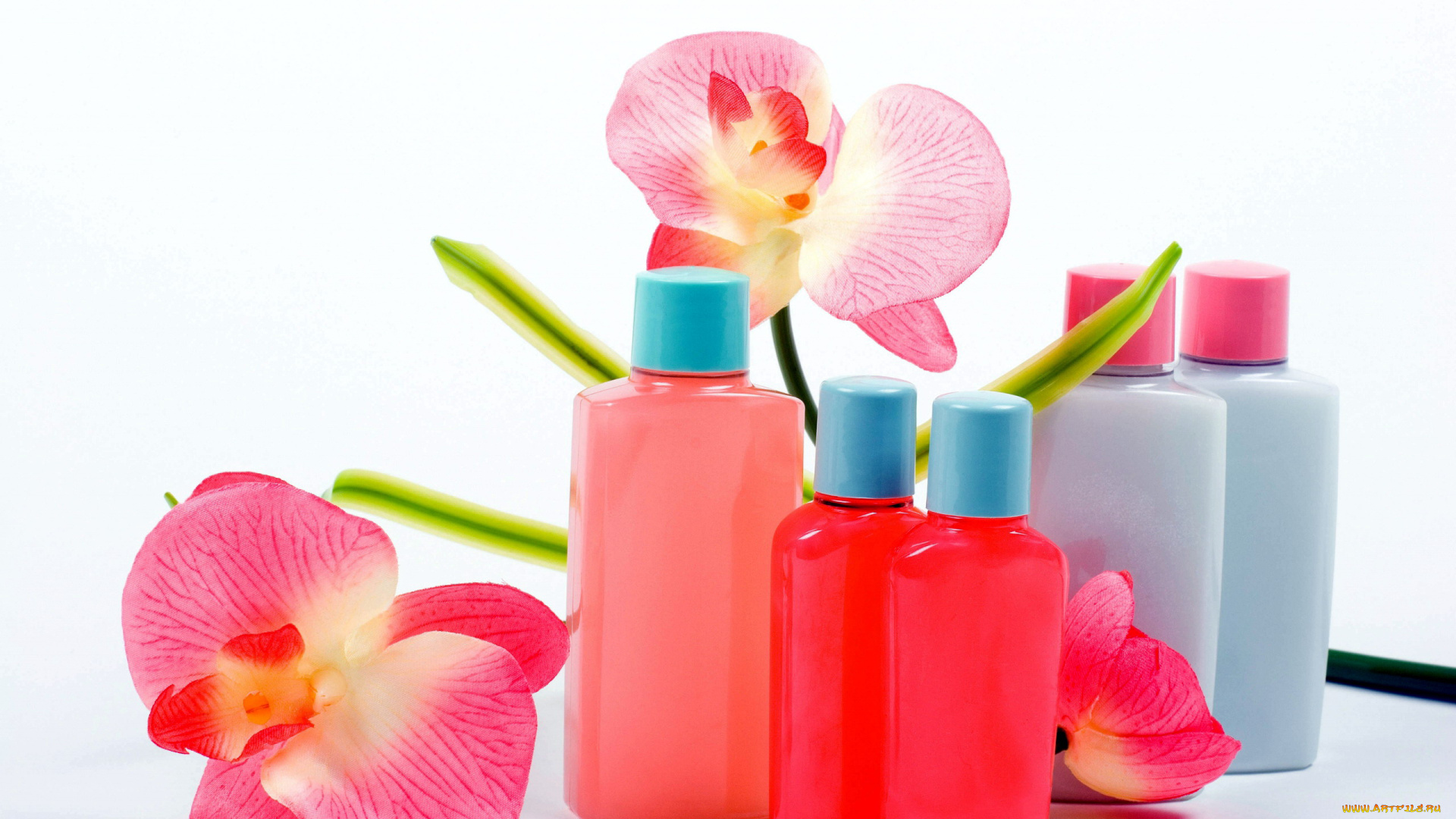 разное, косметические, средства, , духи, орхидеи, флаконы
