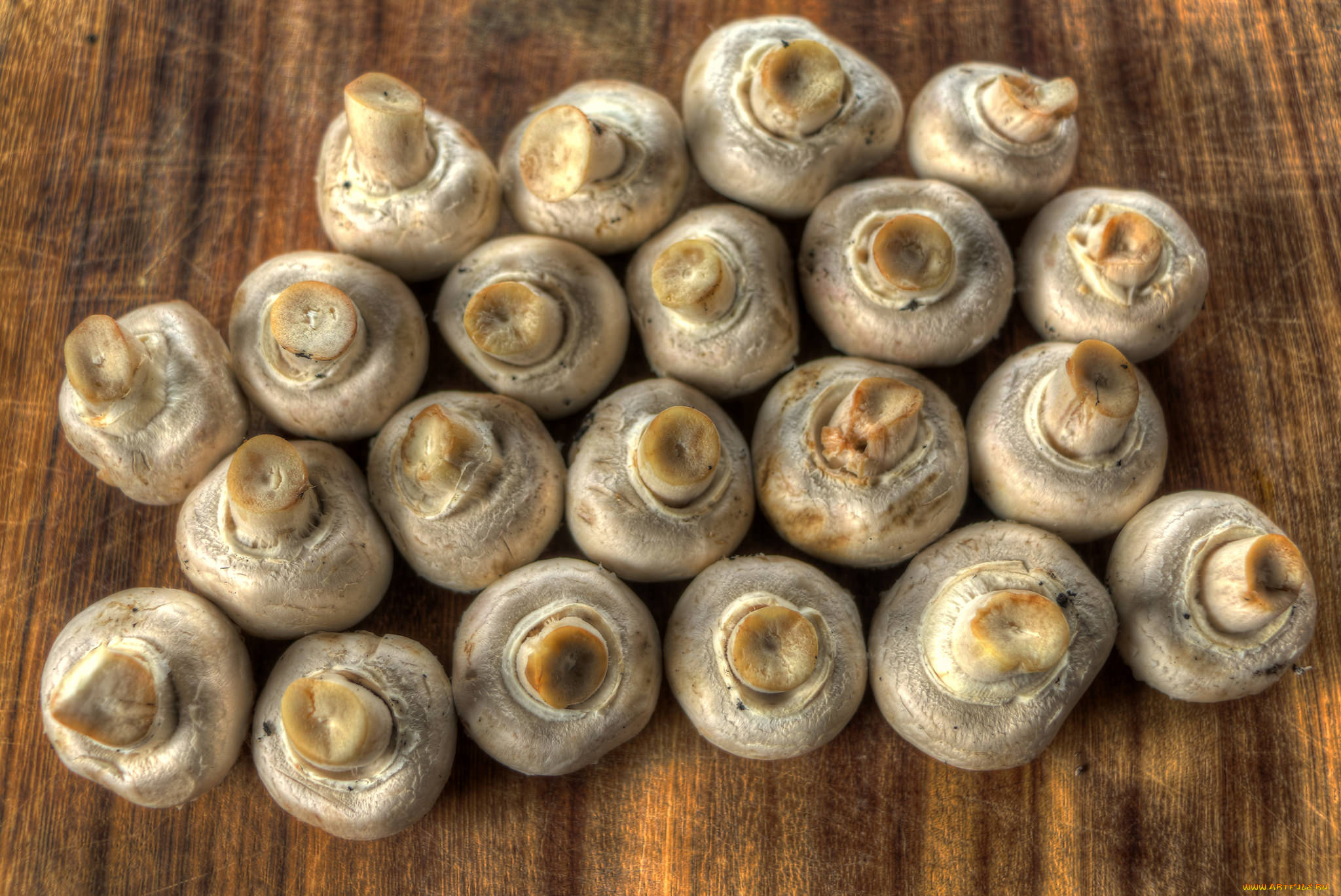 еда, грибы, , грибные, блюда, шампиньоны