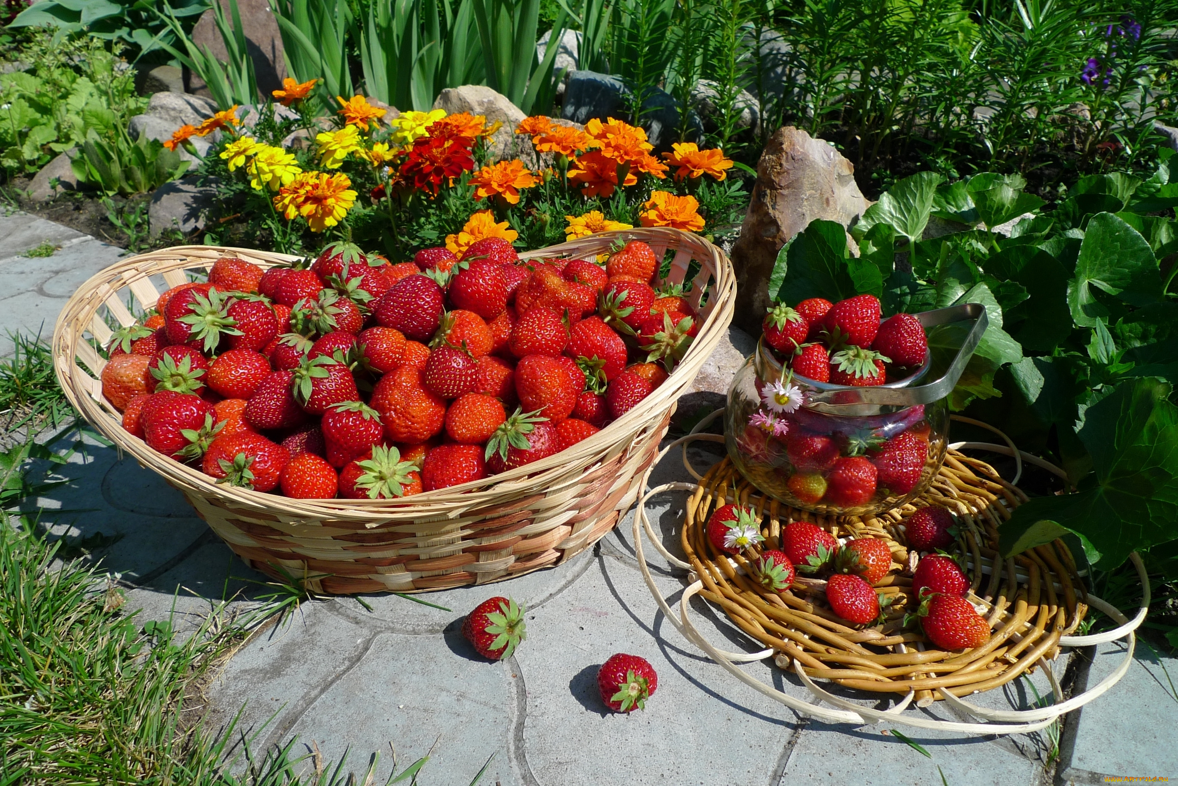 еда, клубника, , земляника, корзина, урожай