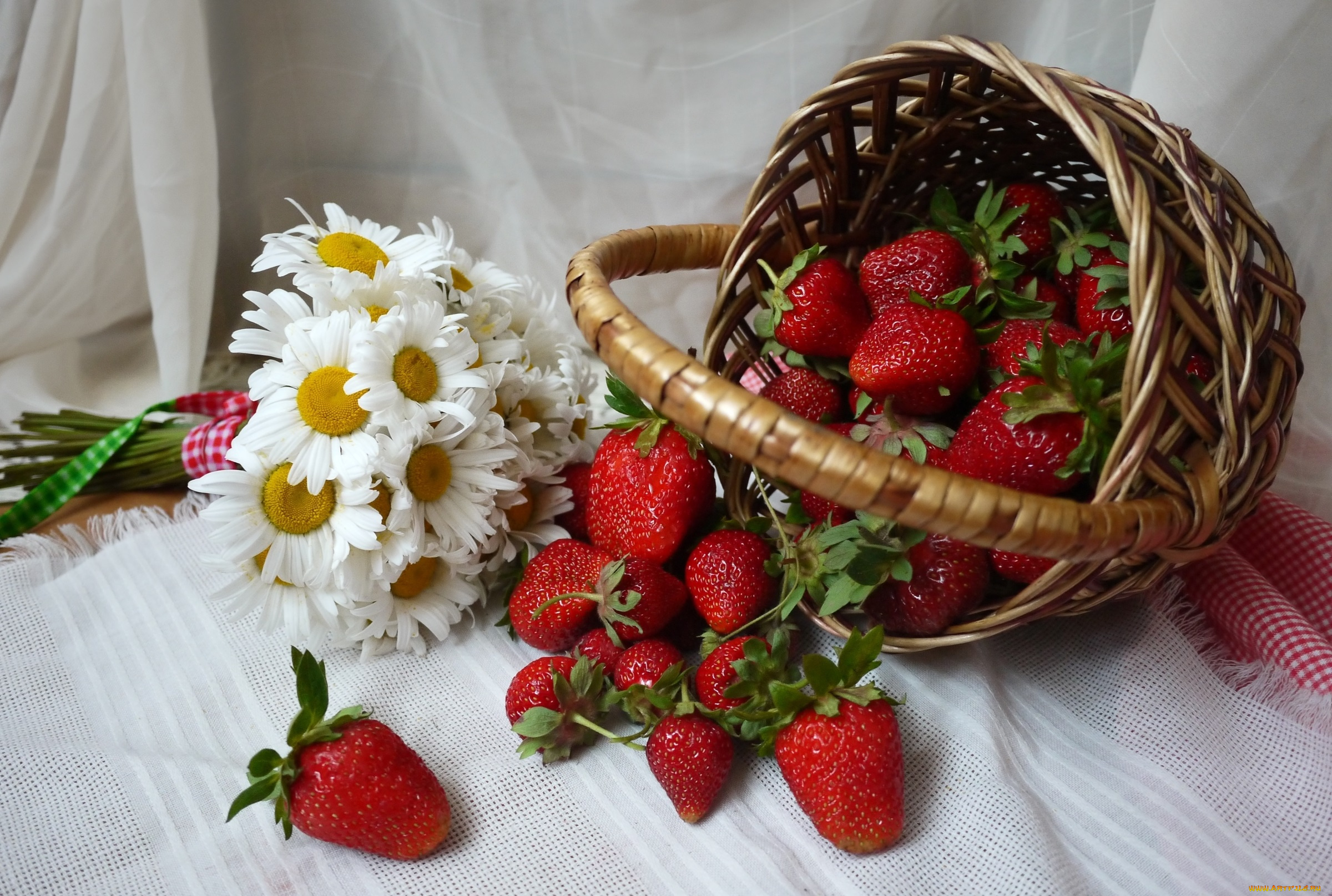 еда, клубника, , земляника, ромашки