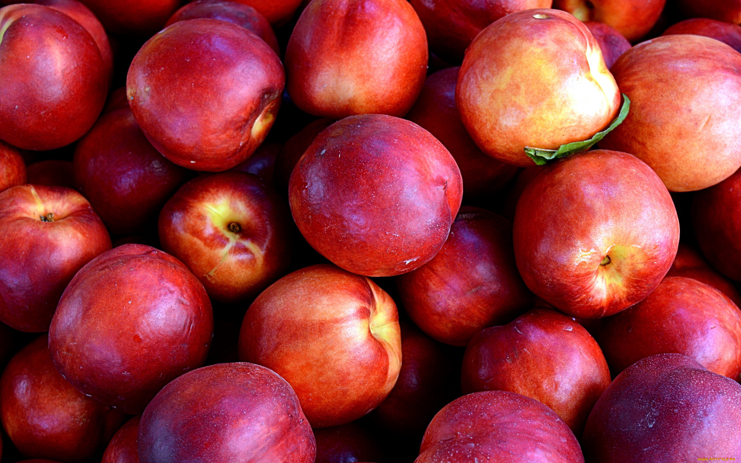 еда, персики, , сливы, , абрикосы, нектарины