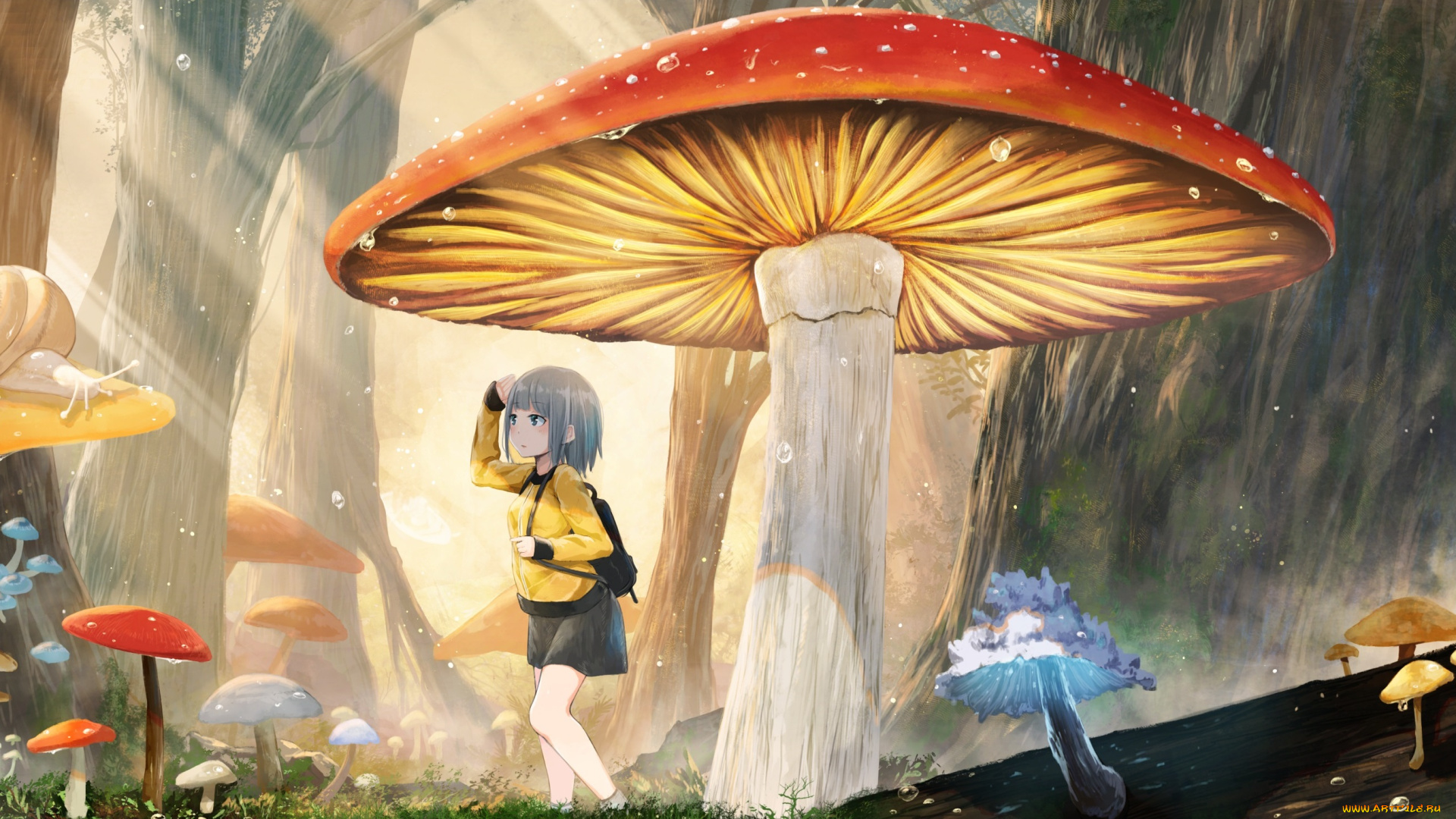 аниме, unknown, , другое, akky